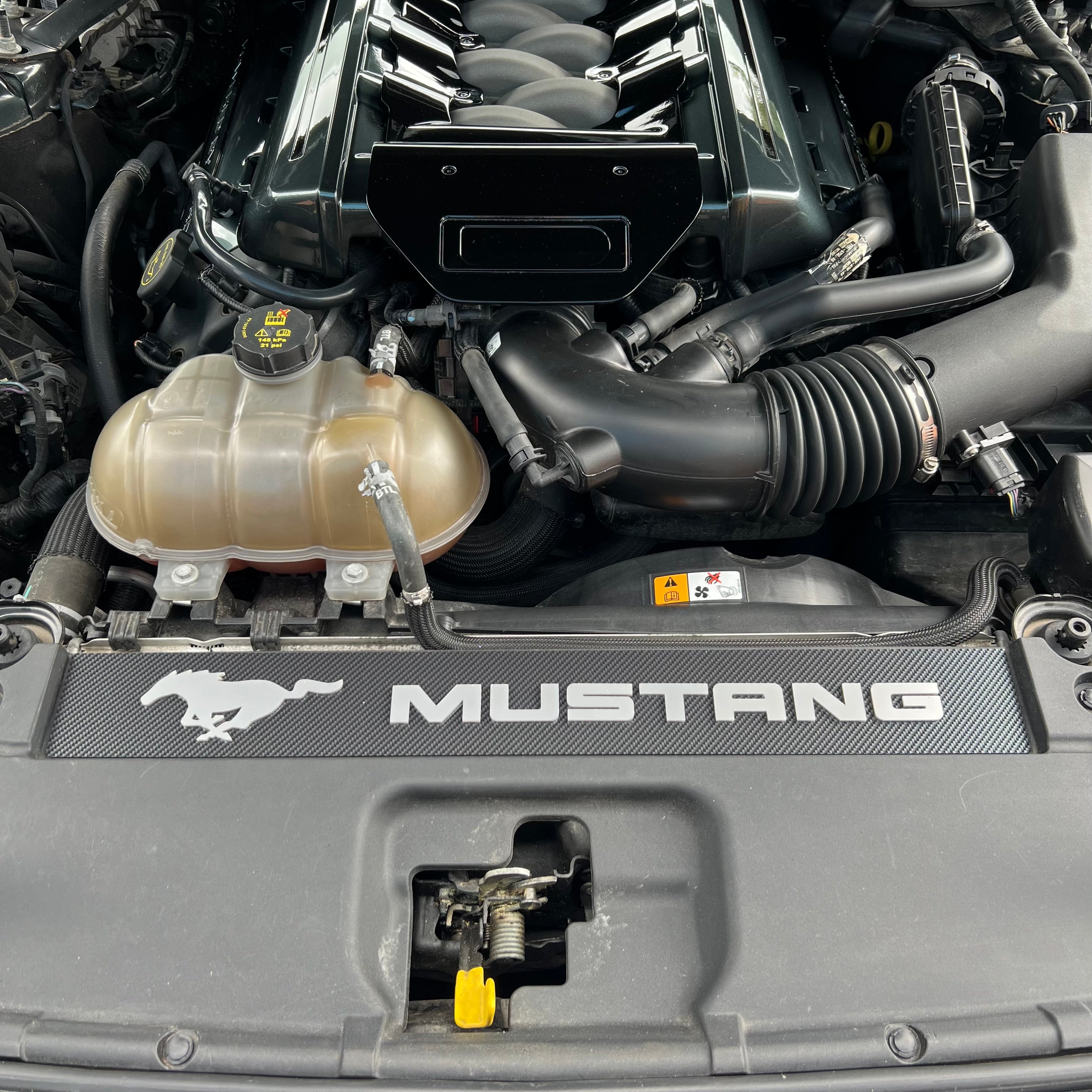 Mustang (6. Generation) Slam Panel Plate