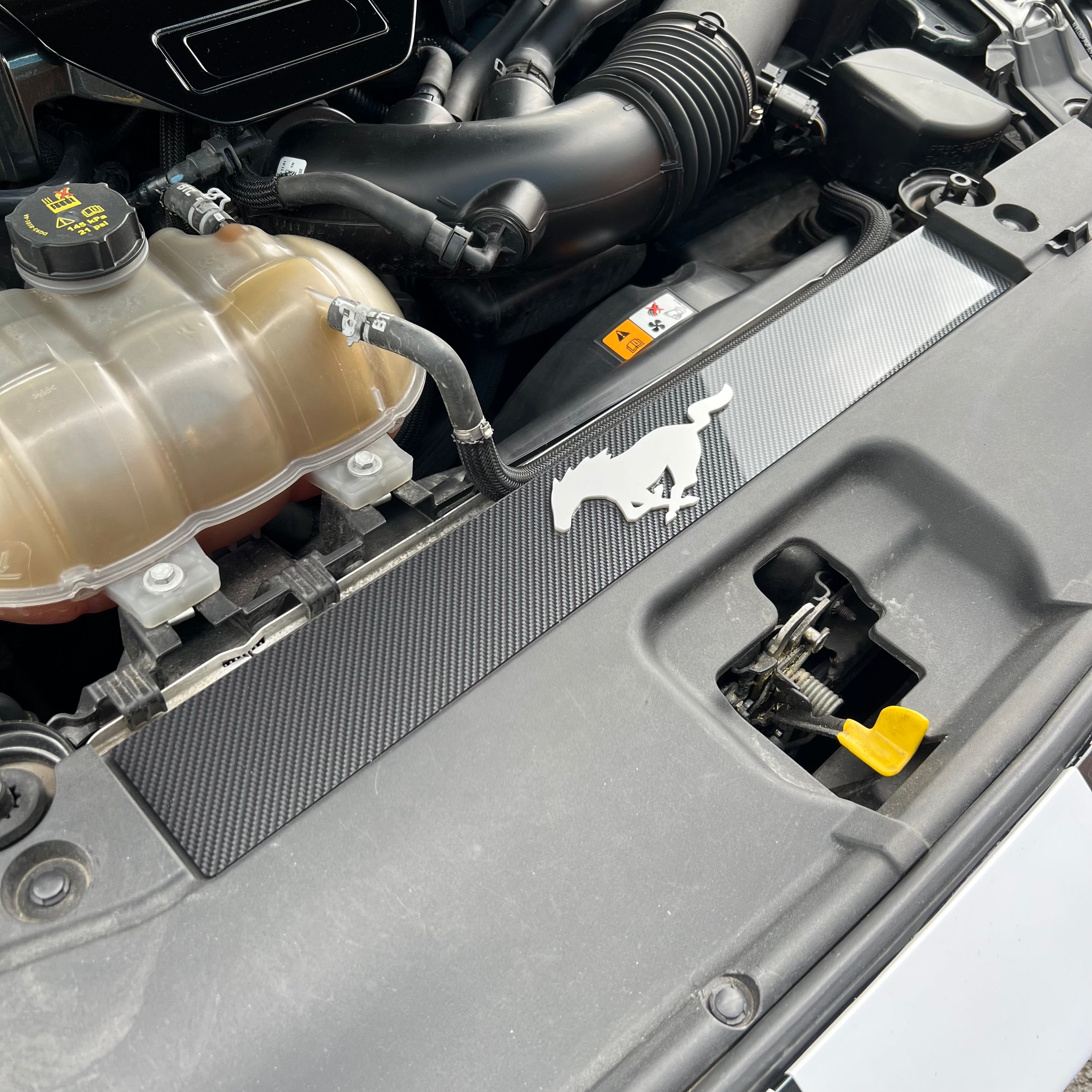 Mustang (6. Generation) Slam Panel Plate