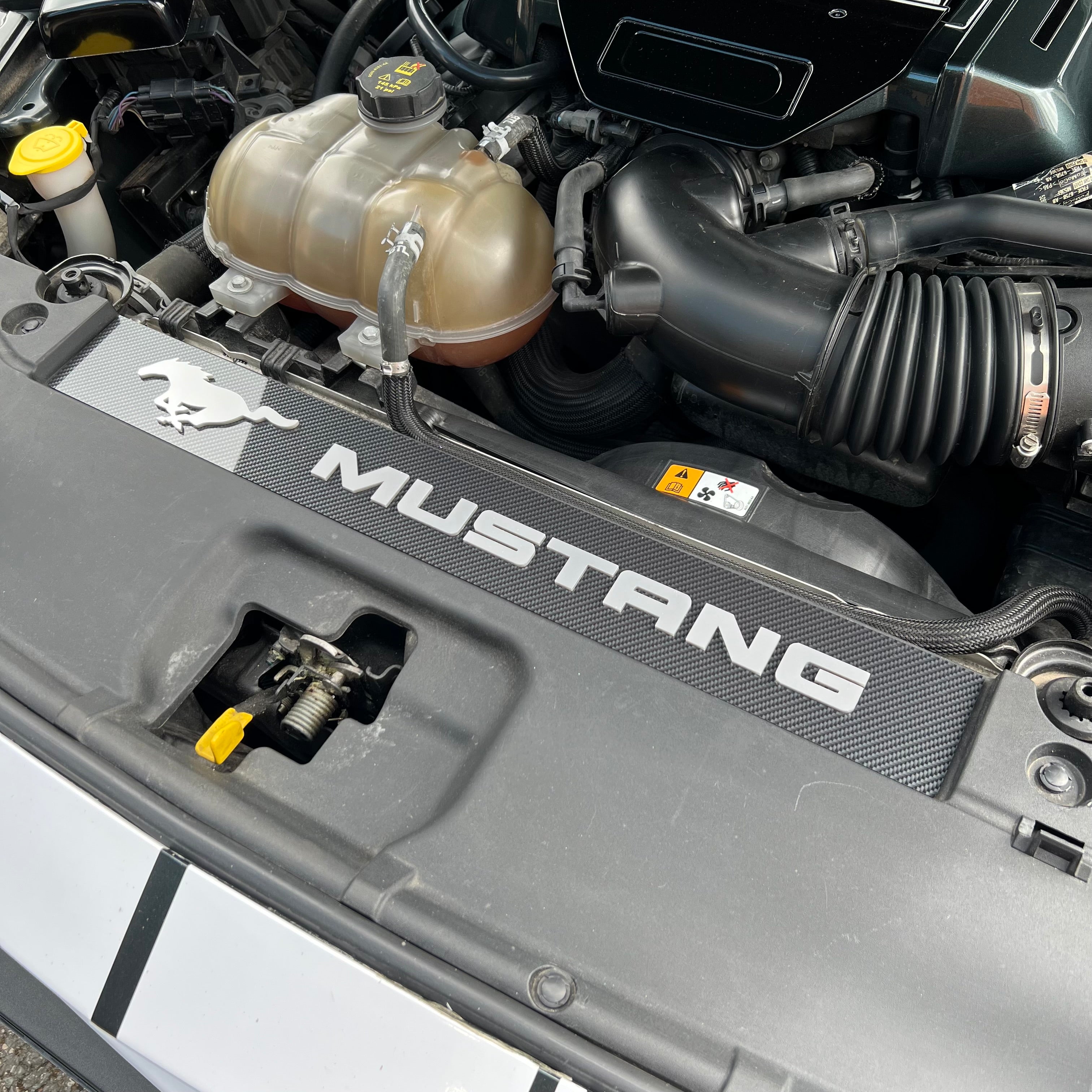 Mustang (6. Generation) Slam Panel Plate