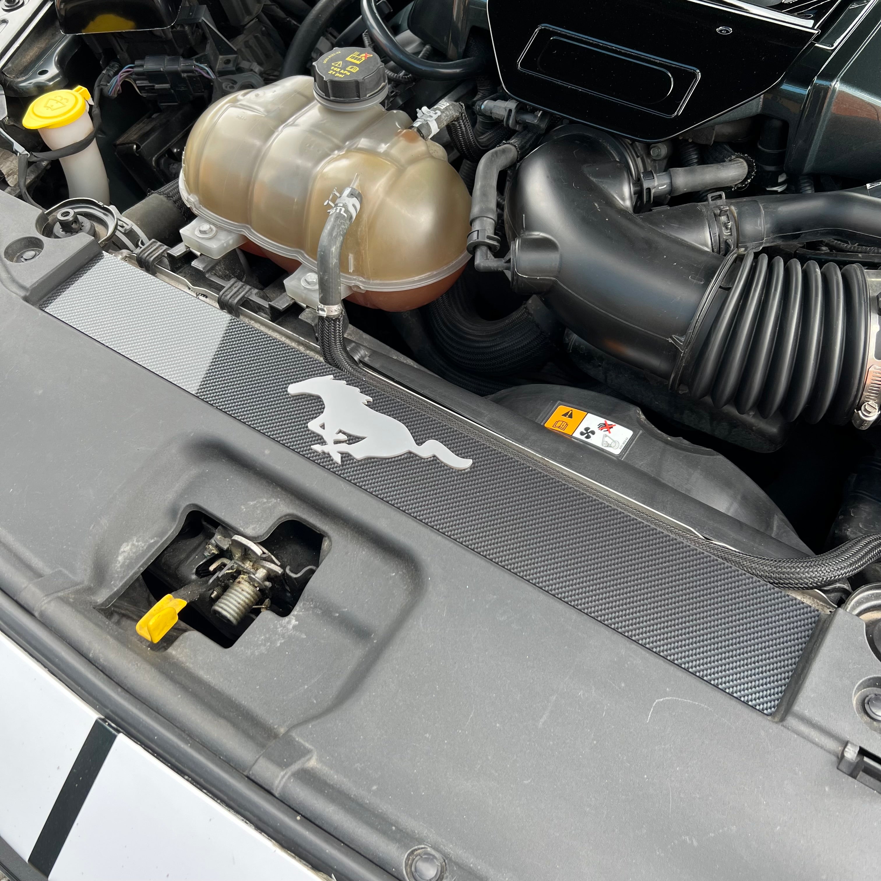 Mustang (6. Generation) Slam Panel Plate