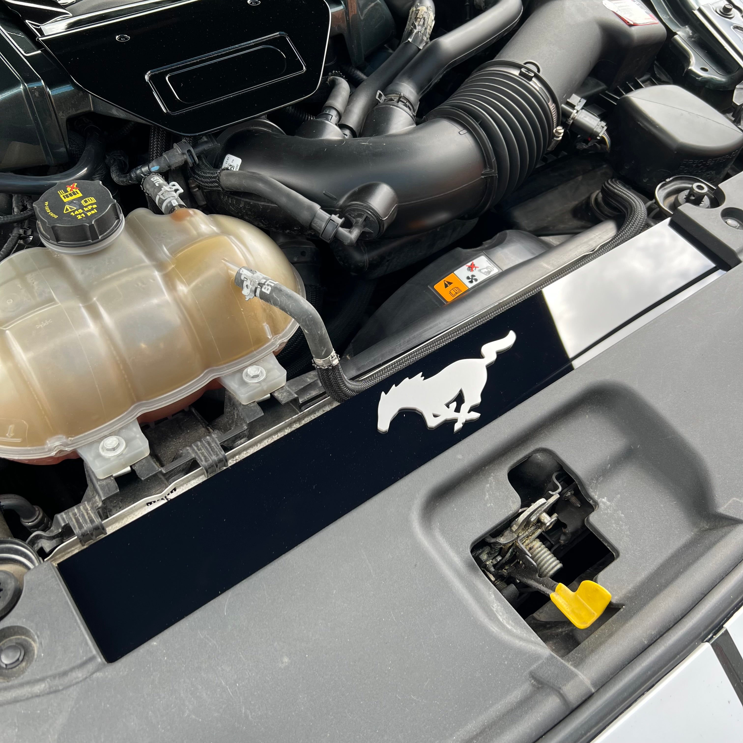 Mustang (6. Generation) Slam Panel Plate