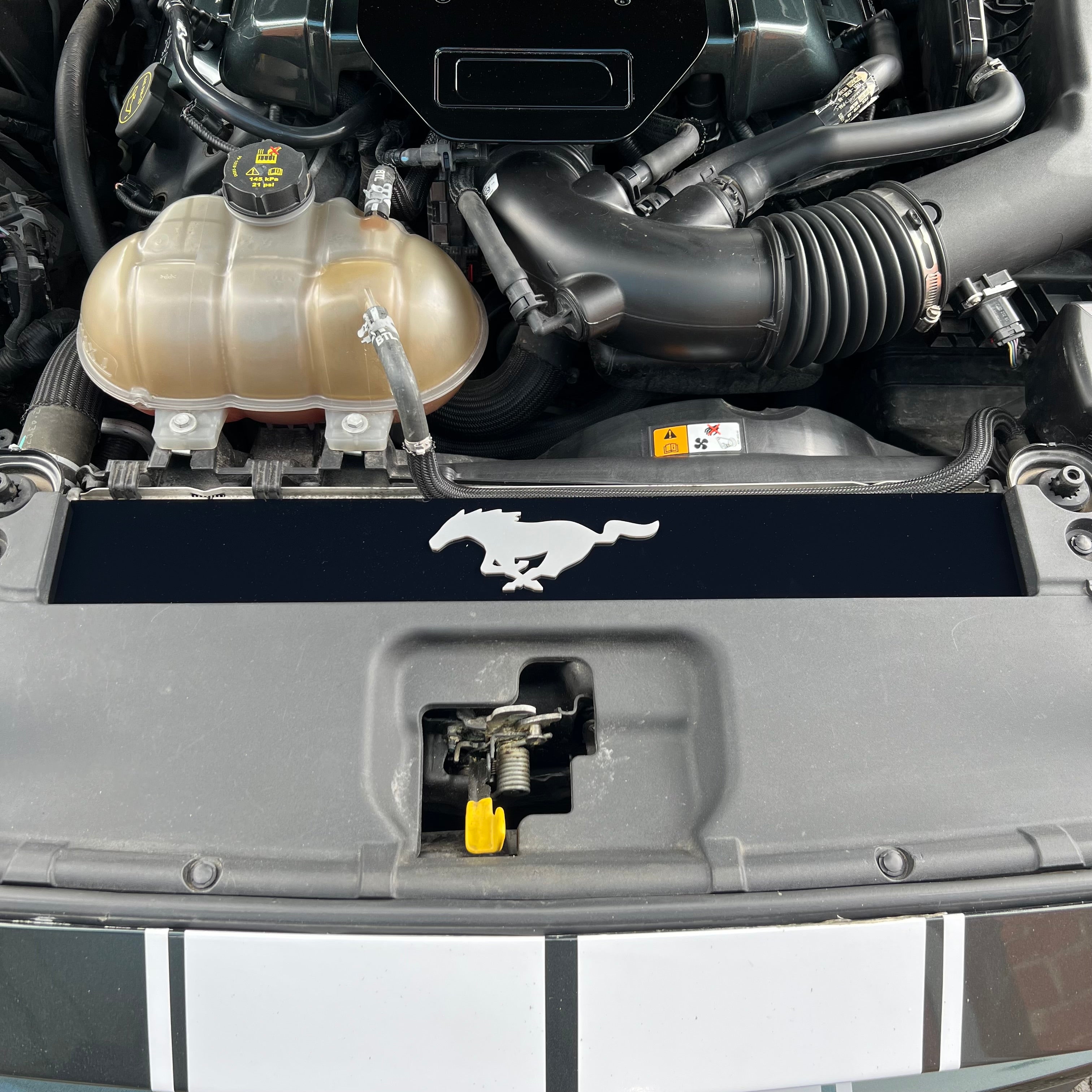 Mustang (6. Generation) Slam Panel Plate