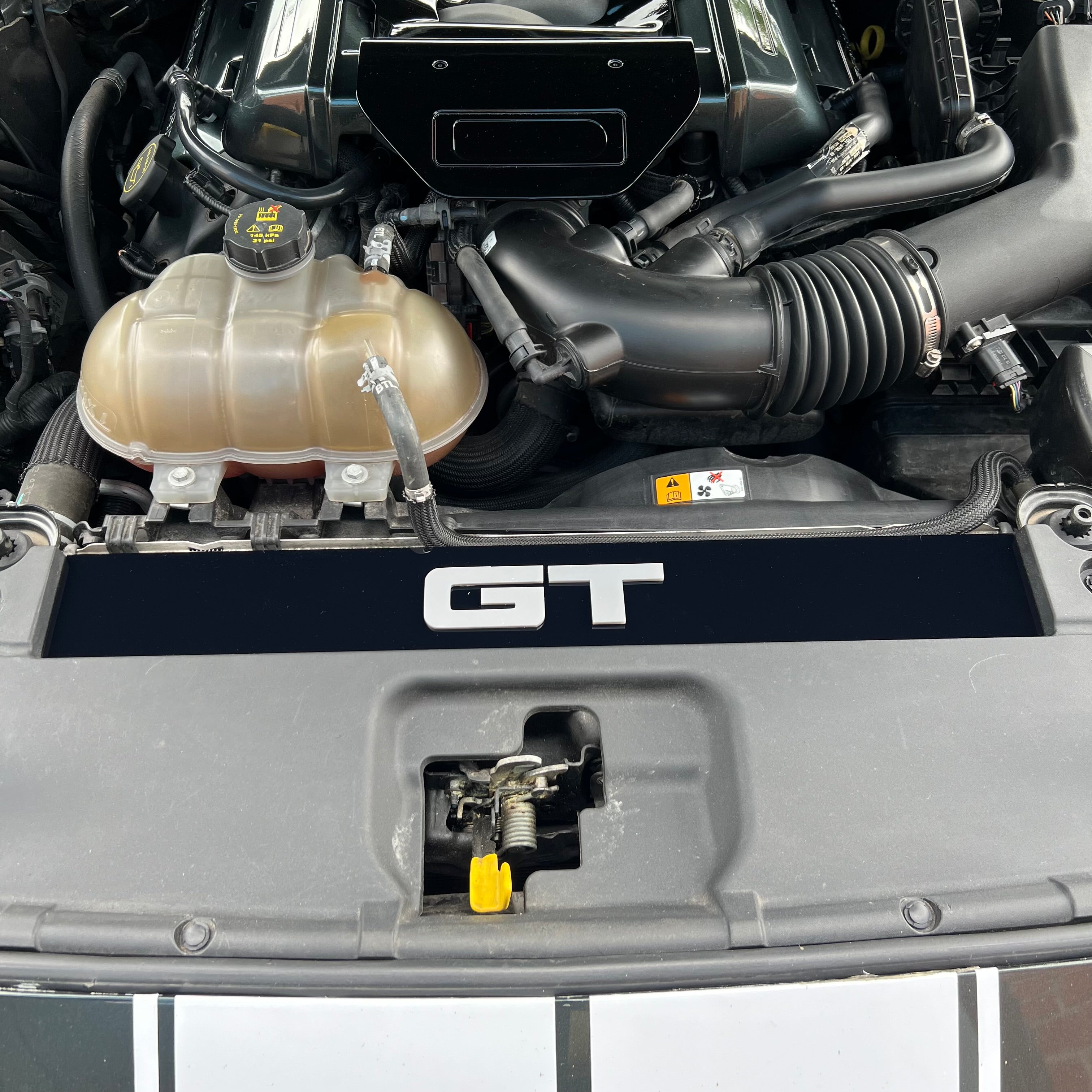 Mustang (6. Generation) Slam Panel Plate
