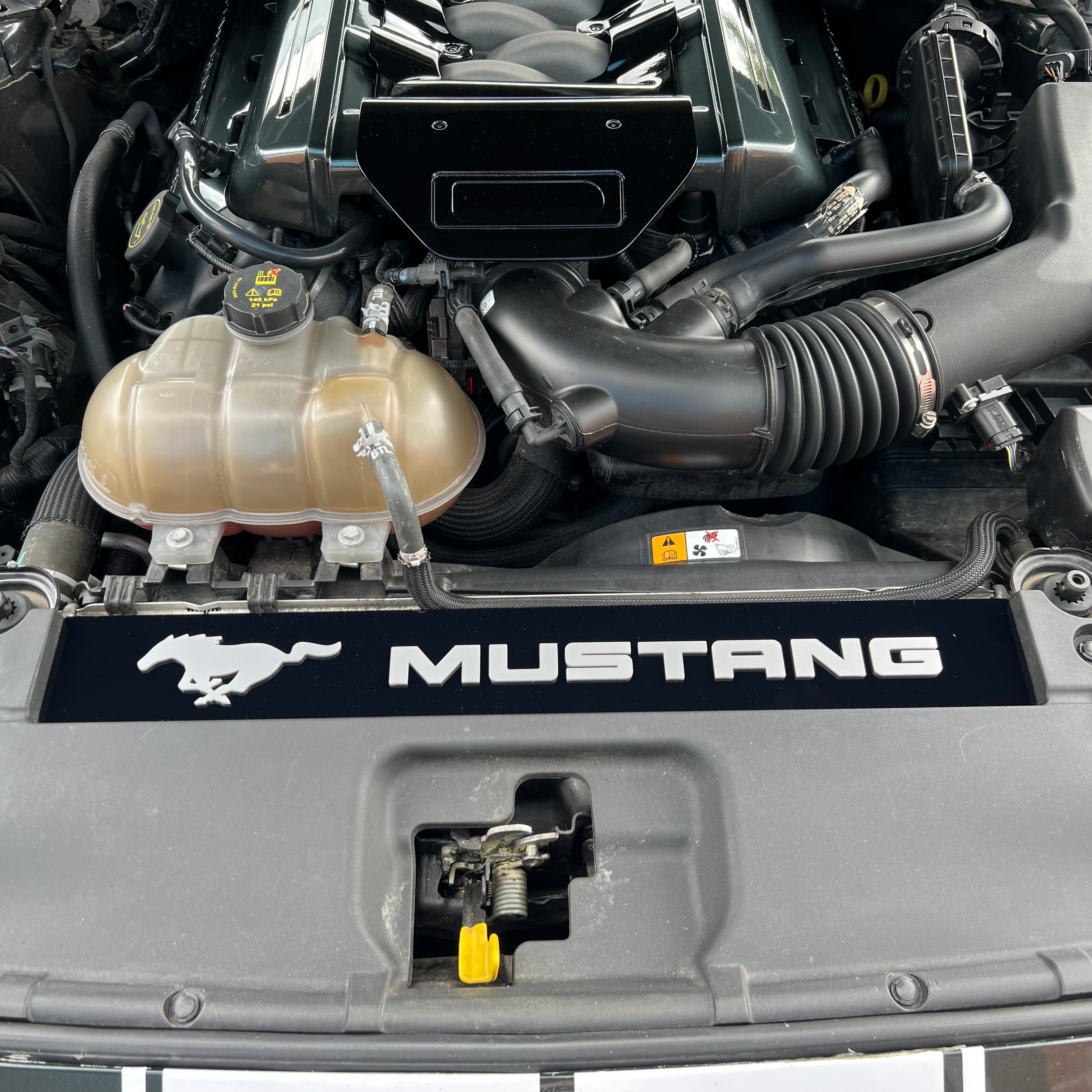 Mustang (6. Generation) Slam Panel Plate