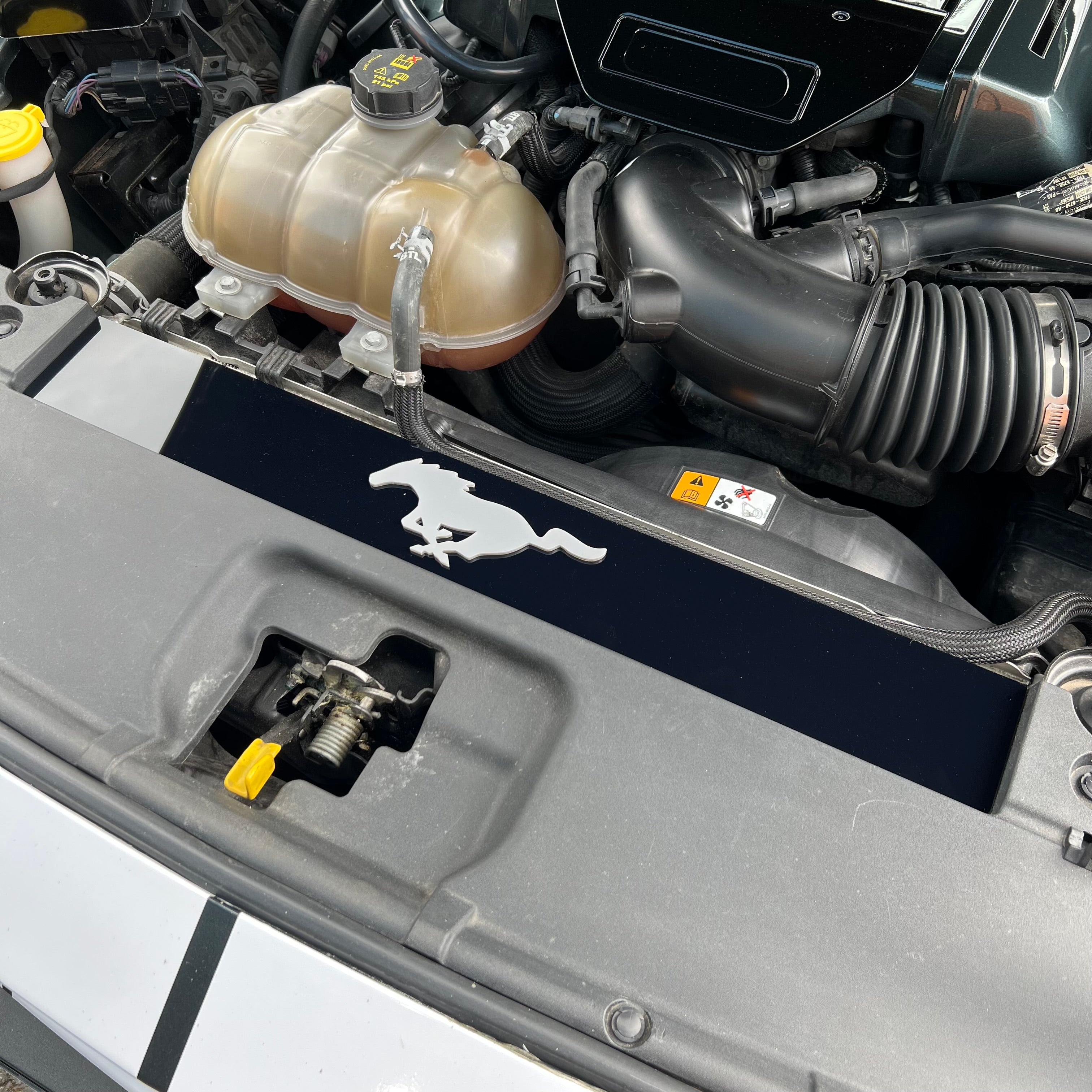 Mustang (6. Generation) Slam Panel Plate