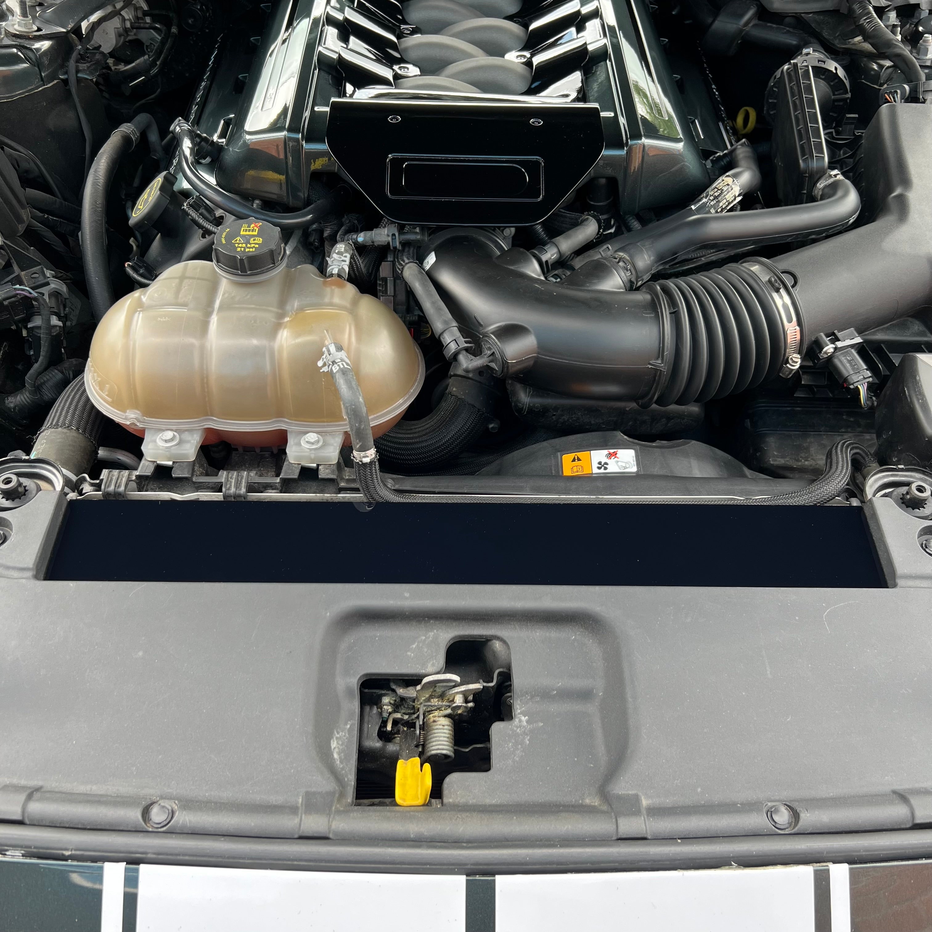 Mustang (6th Generation) Slam Panel Plate