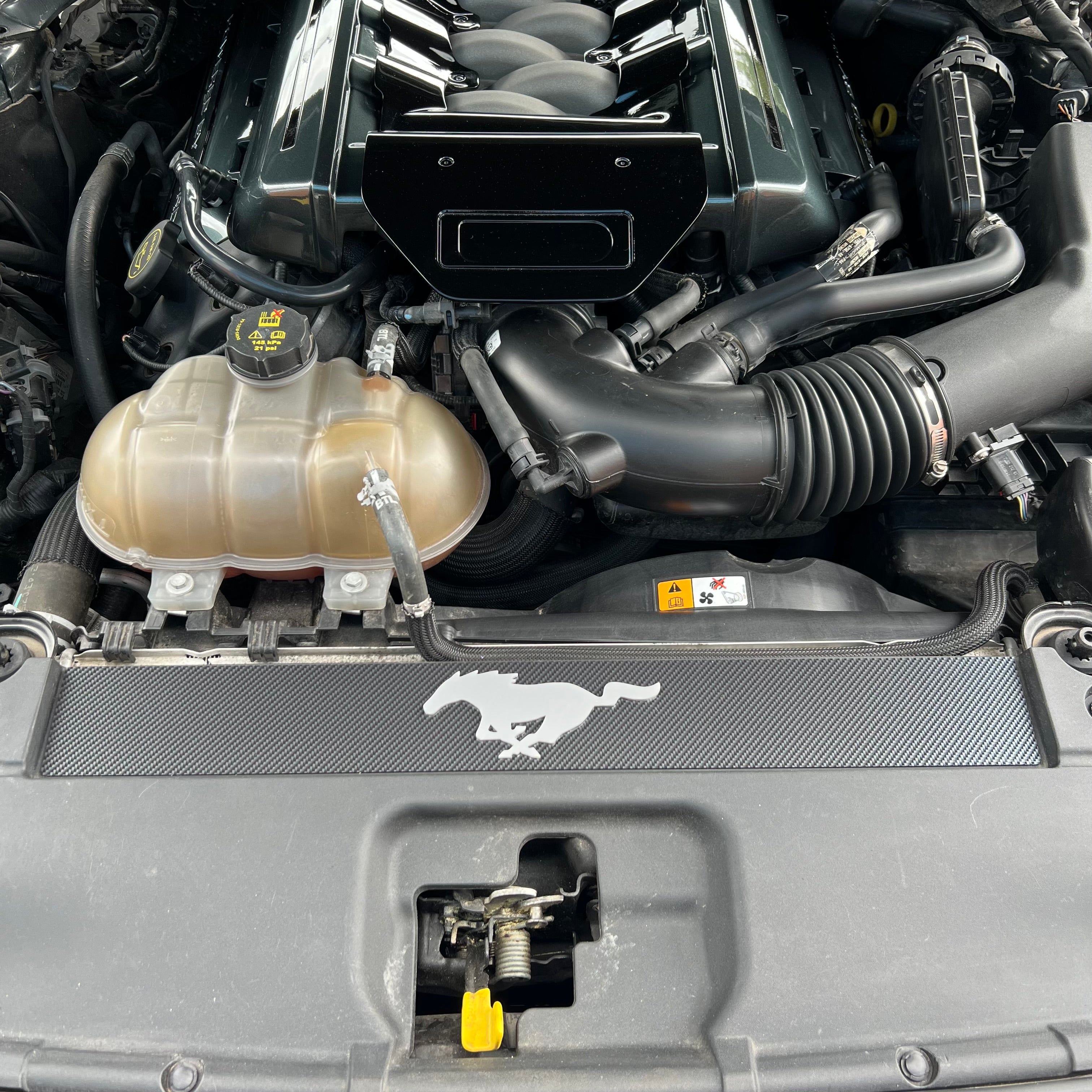 Mustang (6. Generation) Slam Panel Plate