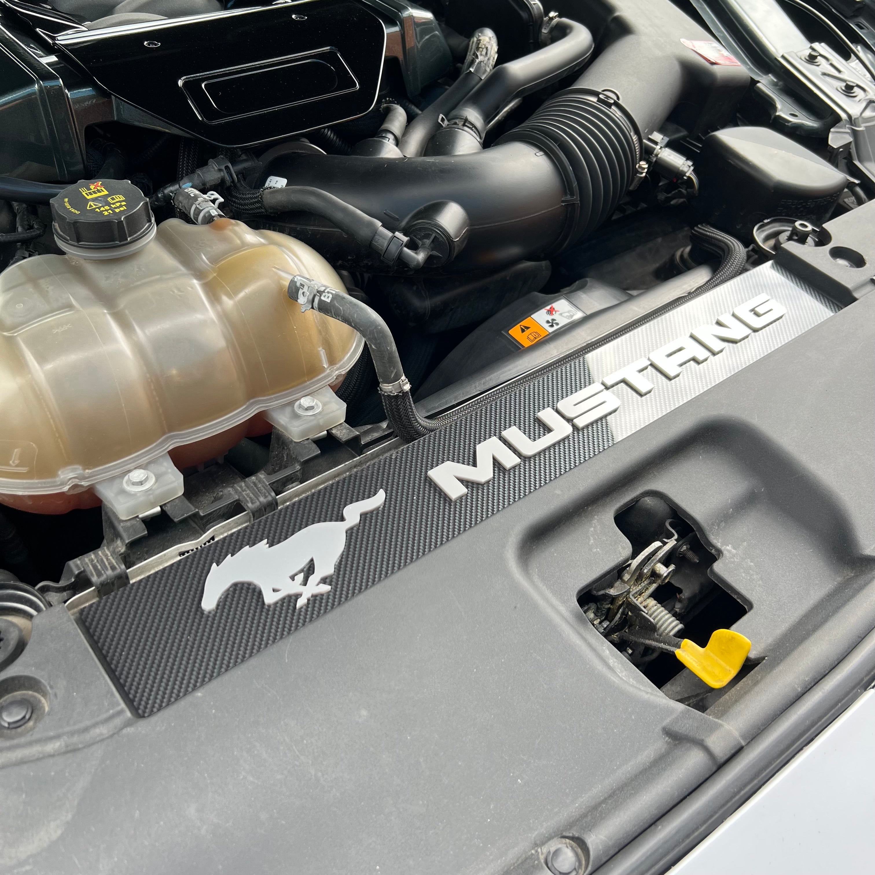 Mustang (6th Generation) Slam Panel Plate