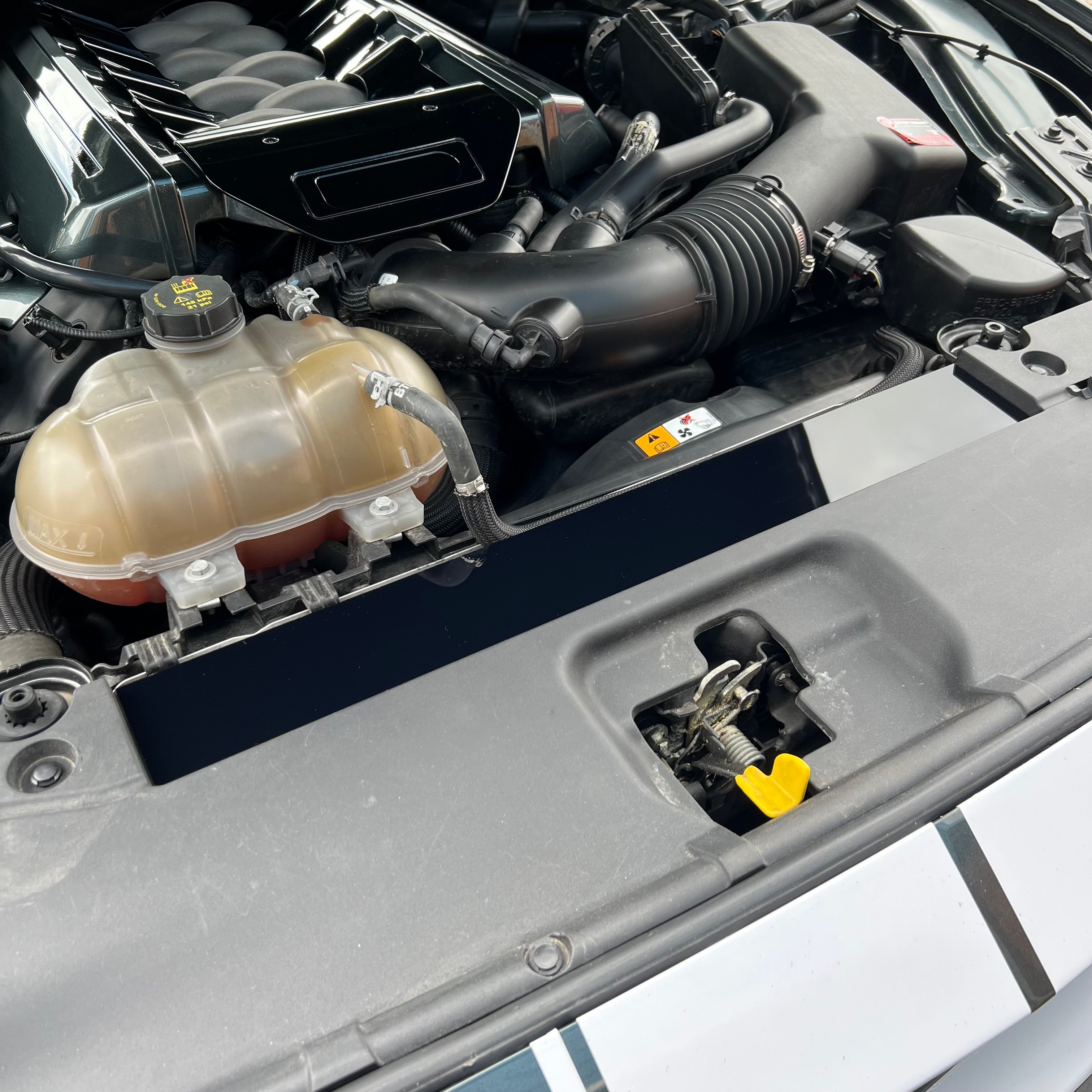 Mustang (6th Generation) Slam Panel Plate