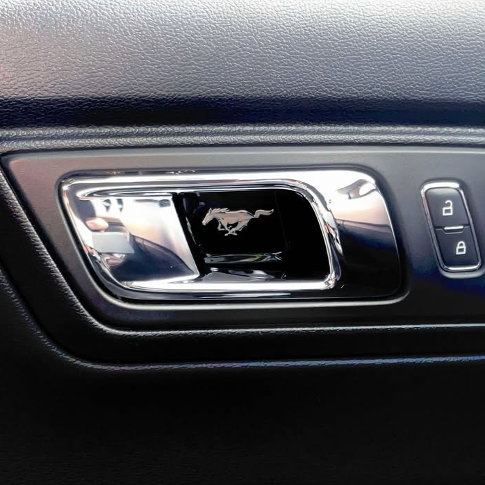 Mustang (6th Generation) Door Pull Gel Badges