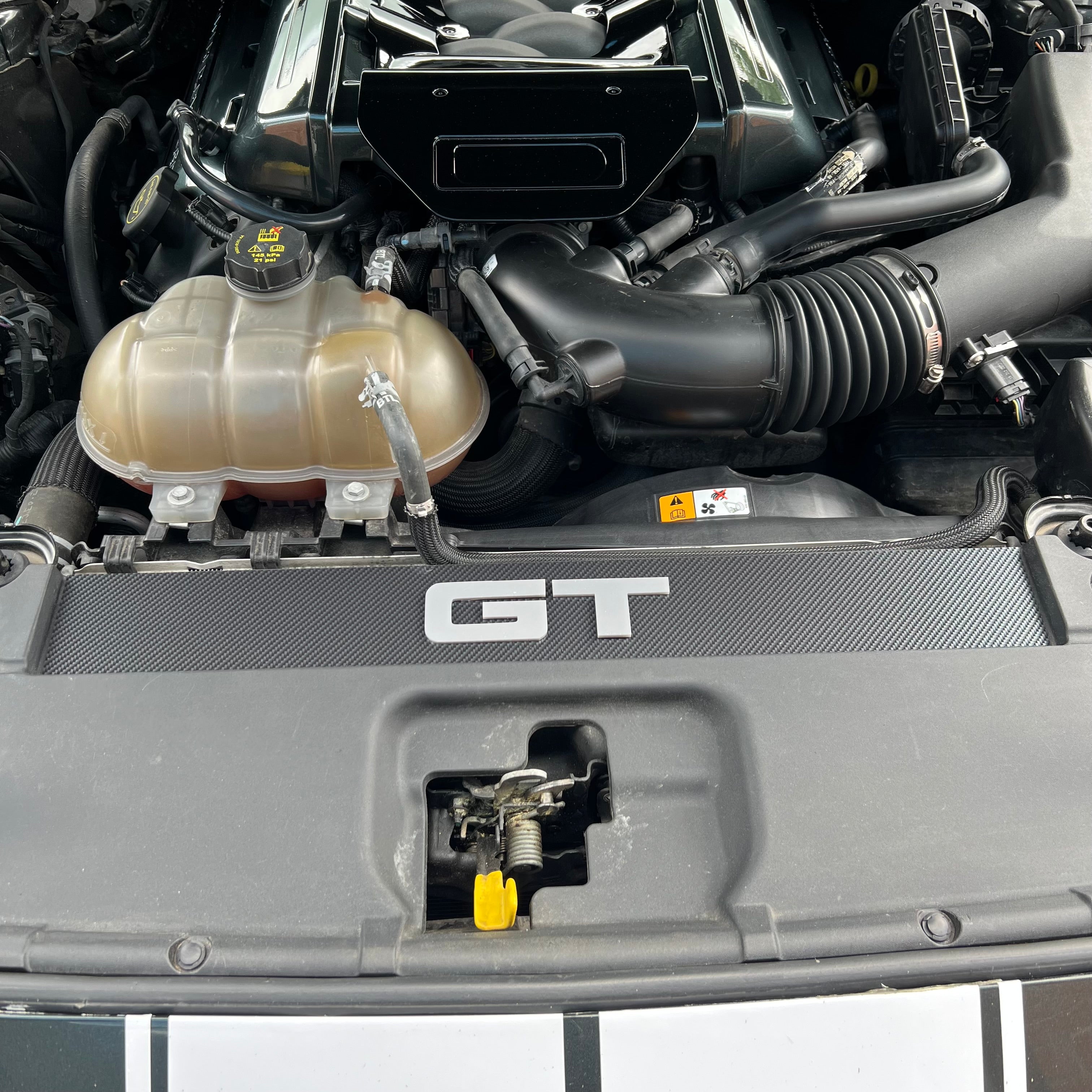 Mustang (6. Generation) Slam Panel Plate