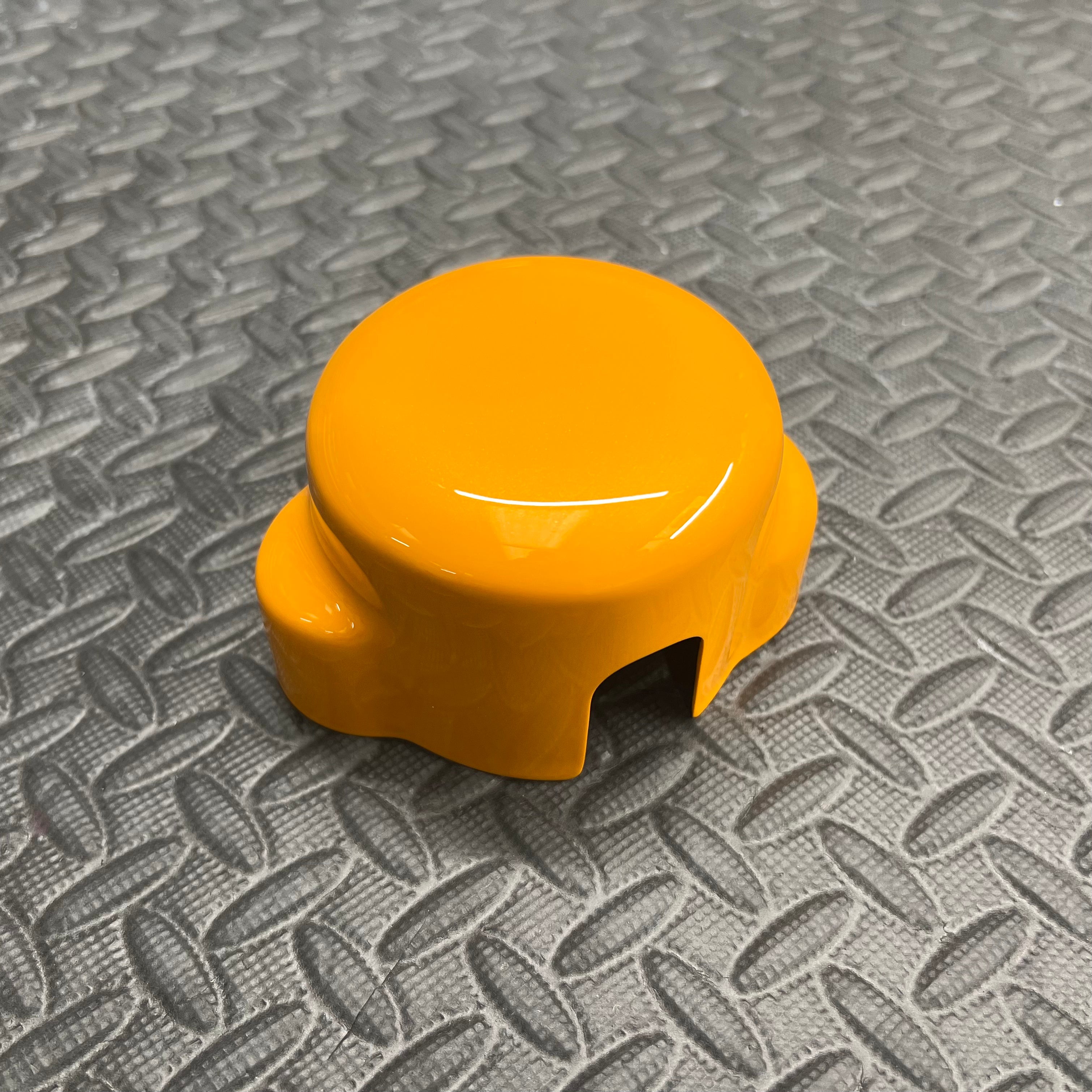 Proform-Kraftstoffpumpenabdeckung – Mk4/4.5 Ford Focus ST Benzin (Lackierte Ausführungen)