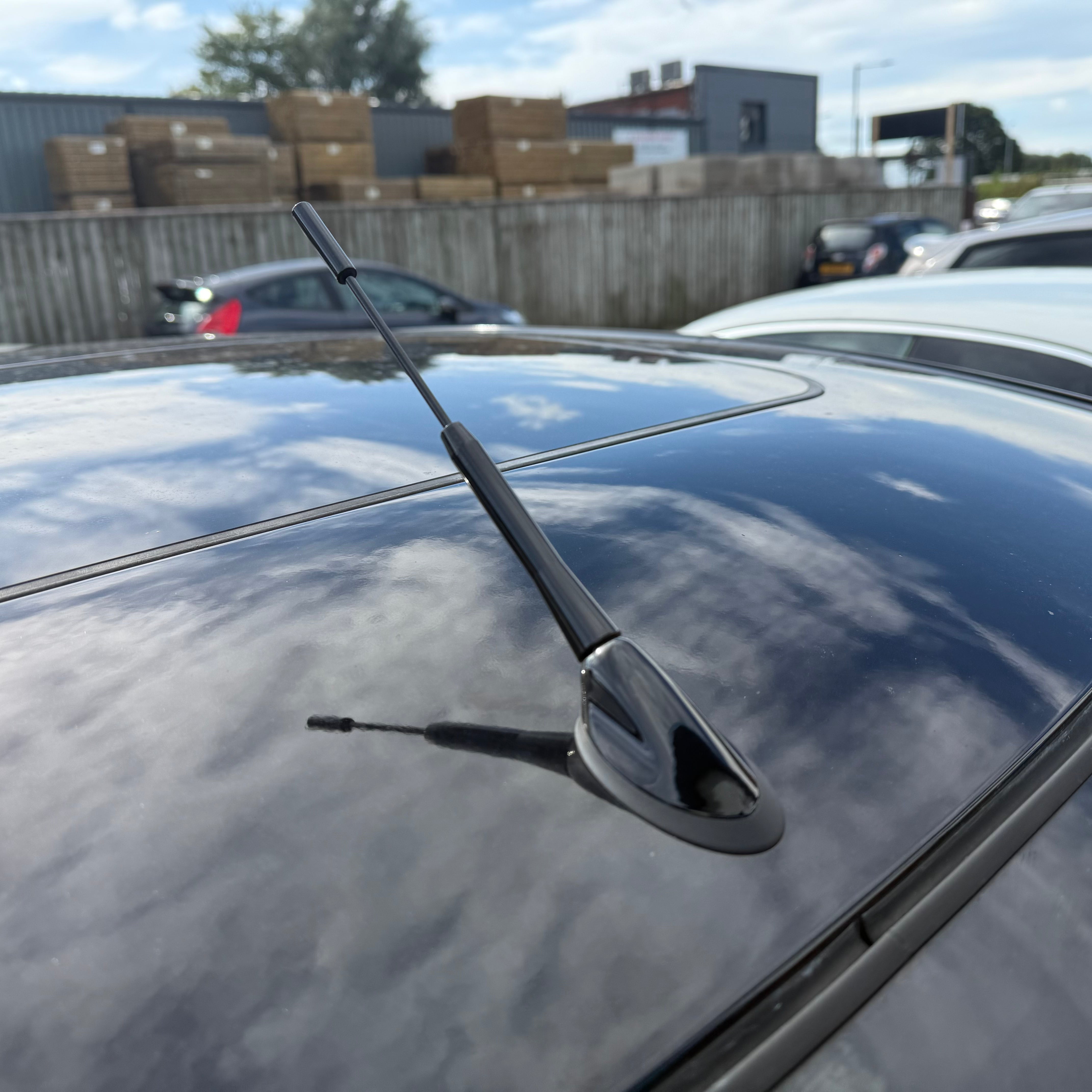 Short Aerial Mast with Genuine Ford Aerial Base (Painted)