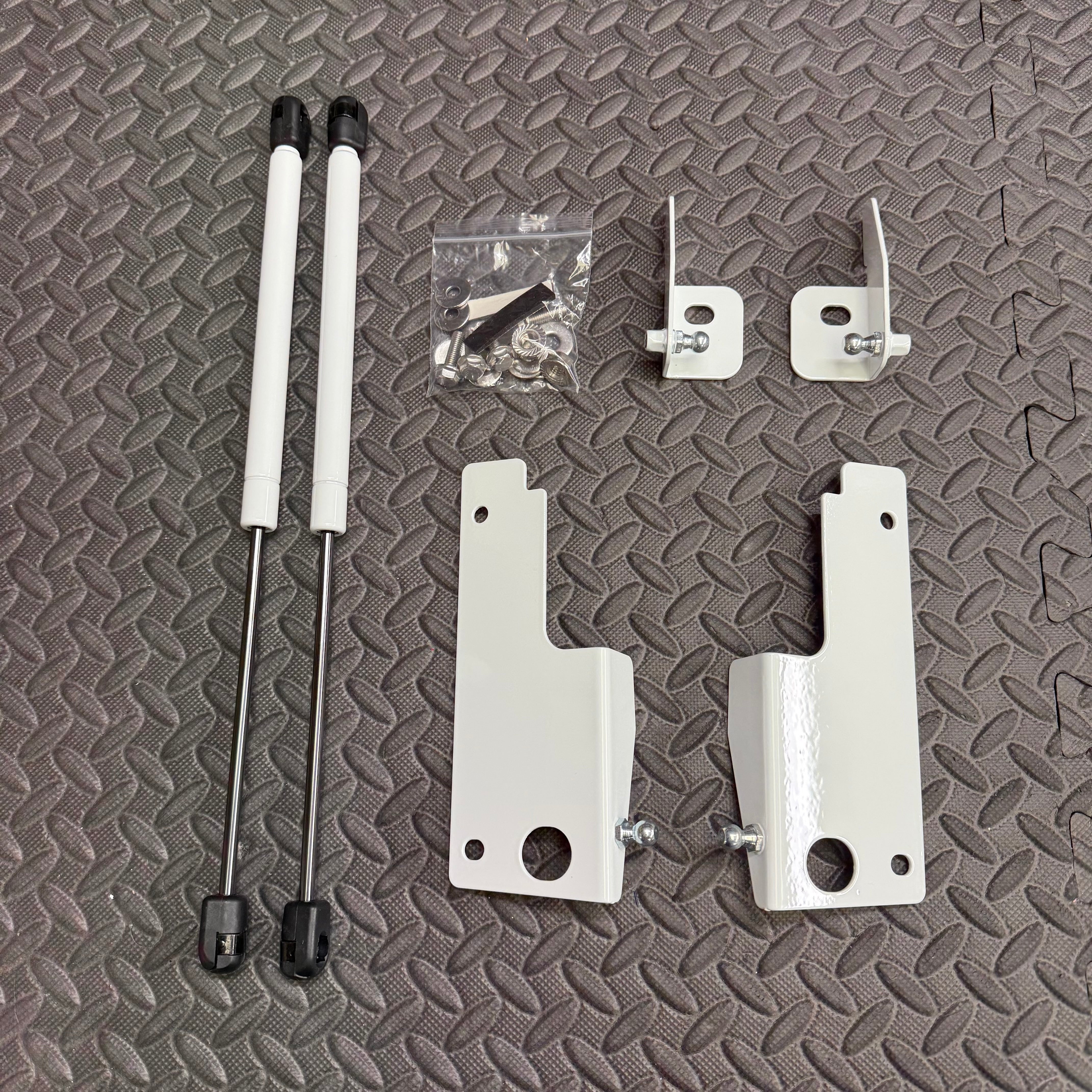 Mk4/4.5 Focus inc ST Gas Strut Bonnet Lifters (Painted Finishes)