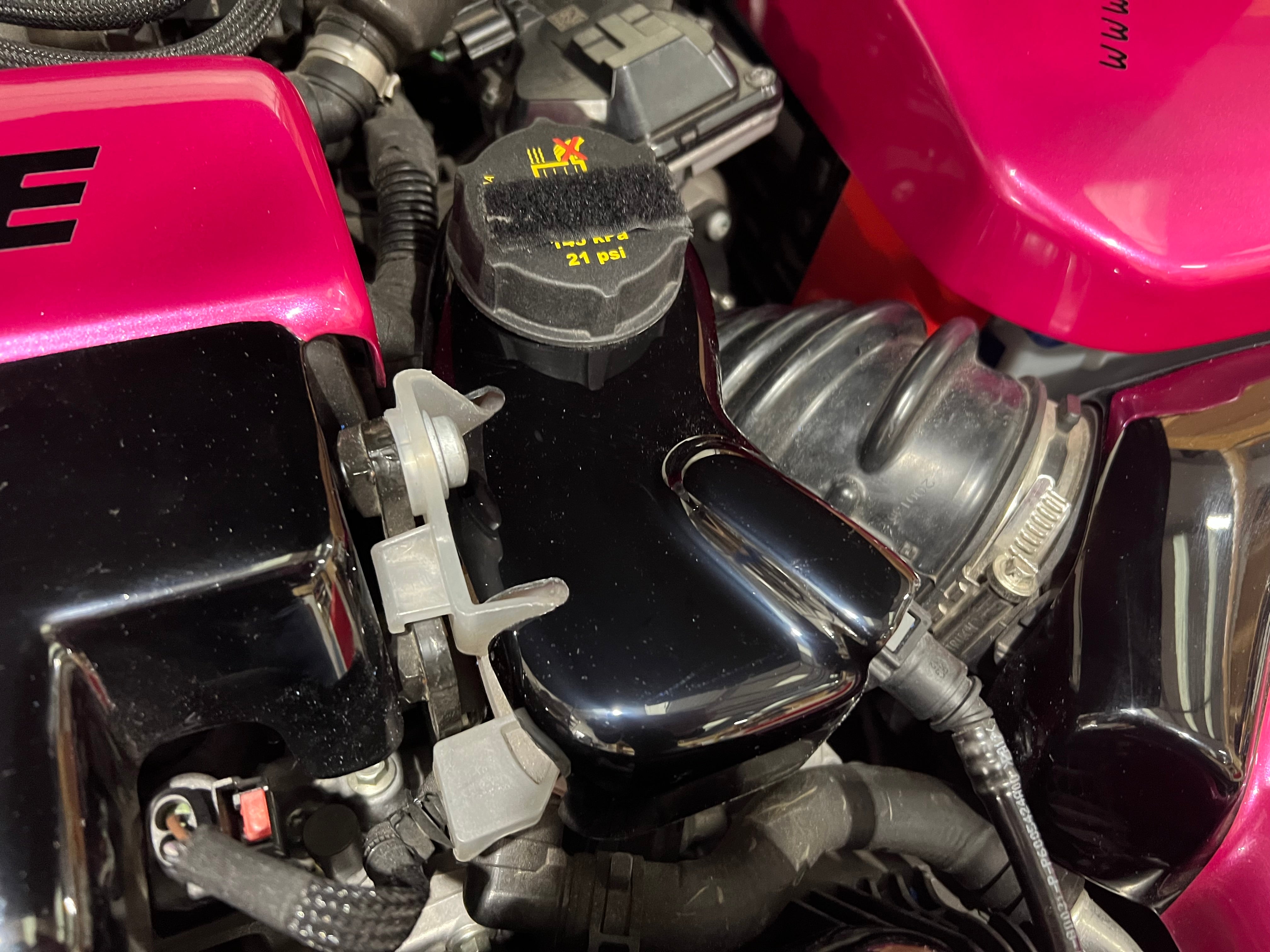 Proform Ladekühler-Flaschenabdeckung – Mk4 Ford Focus ST Diesel (Kunststoffoberflächen)