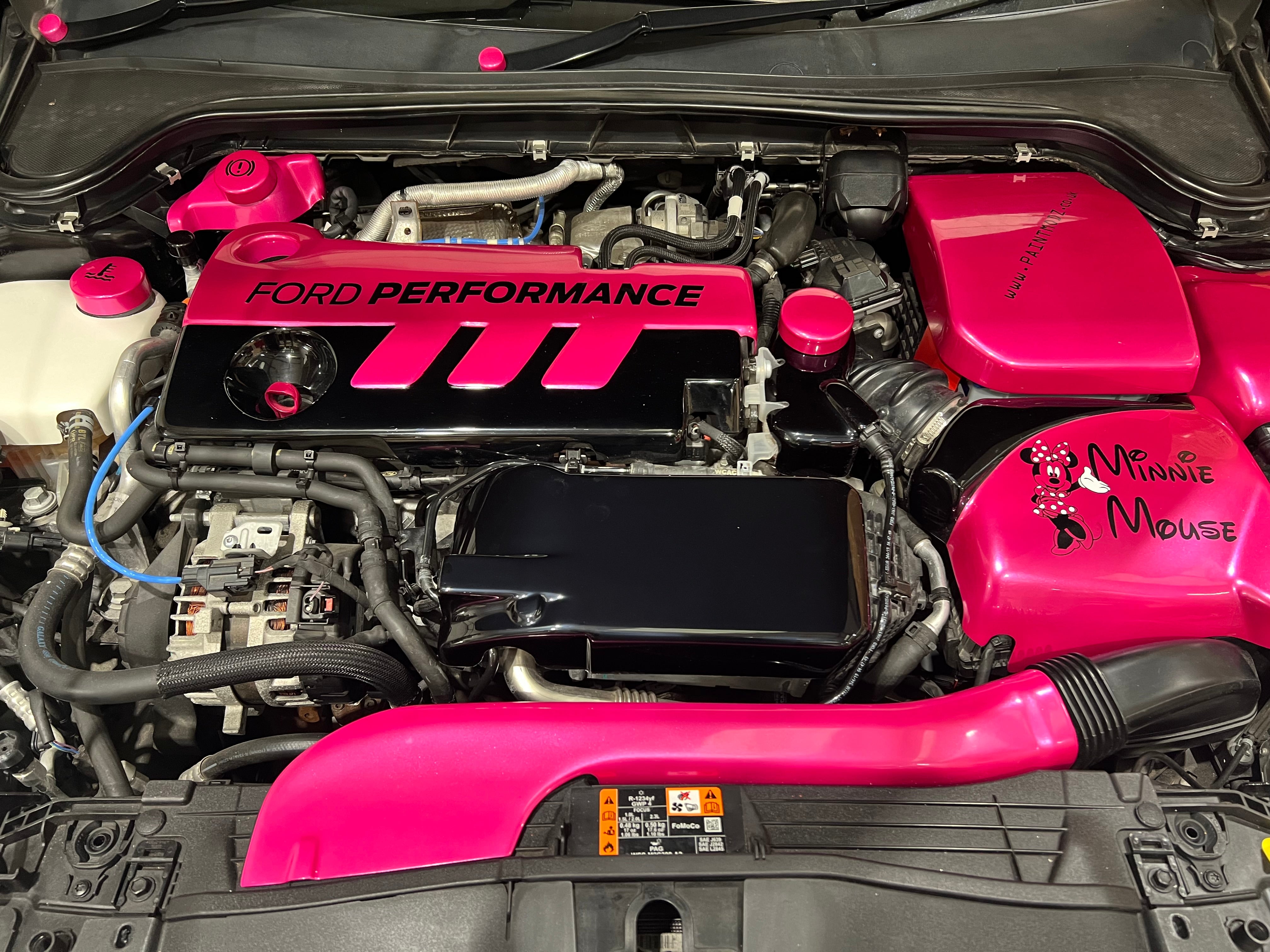 Proform Ladeluftkühlerabdeckung – Mk4 Ford Focus ST Diesel (Kunststoffoberflächen)