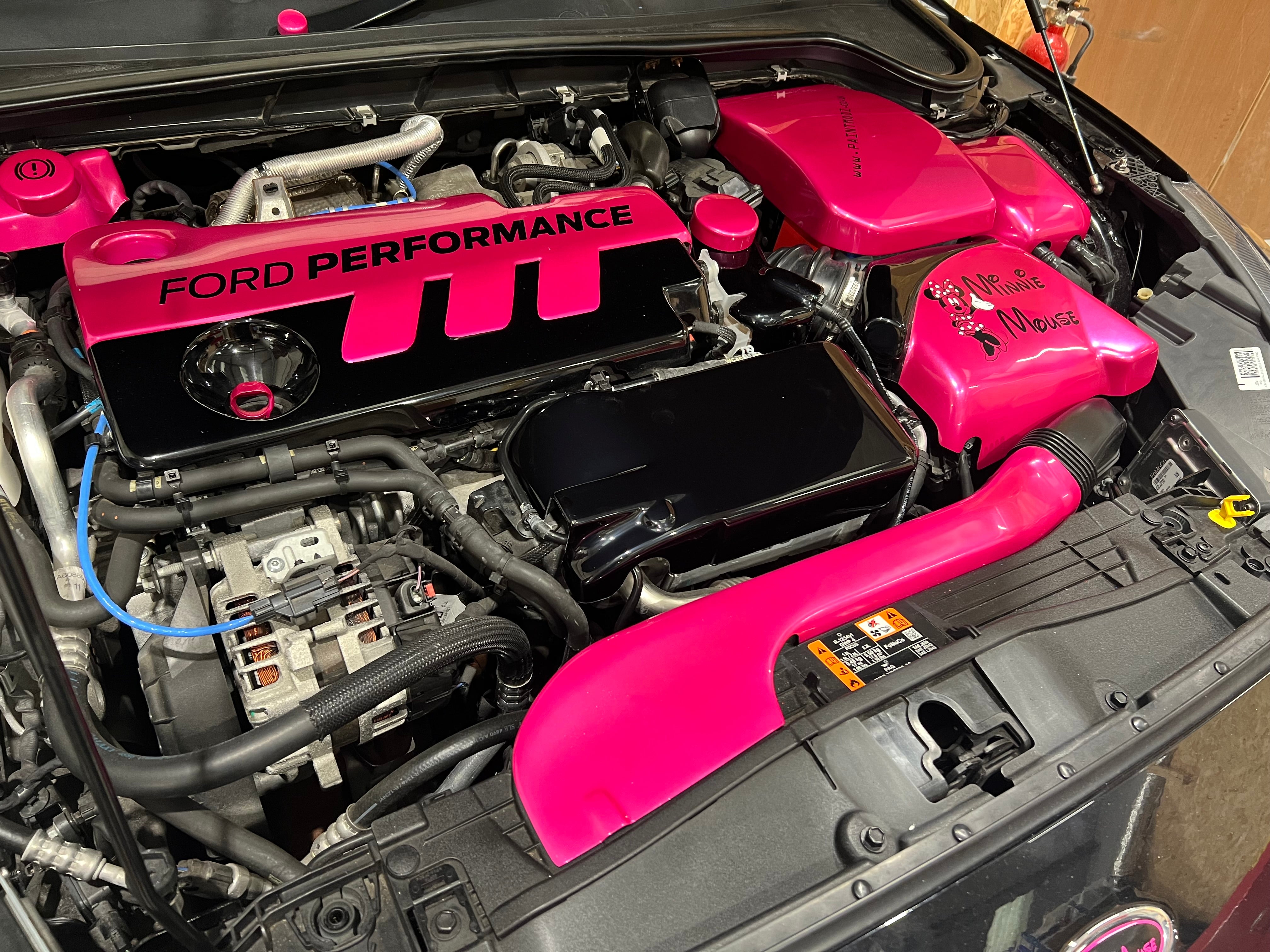 Proform Ladeluftkühlerabdeckung – Mk4 Ford Focus ST Diesel (Kunststoffoberflächen)