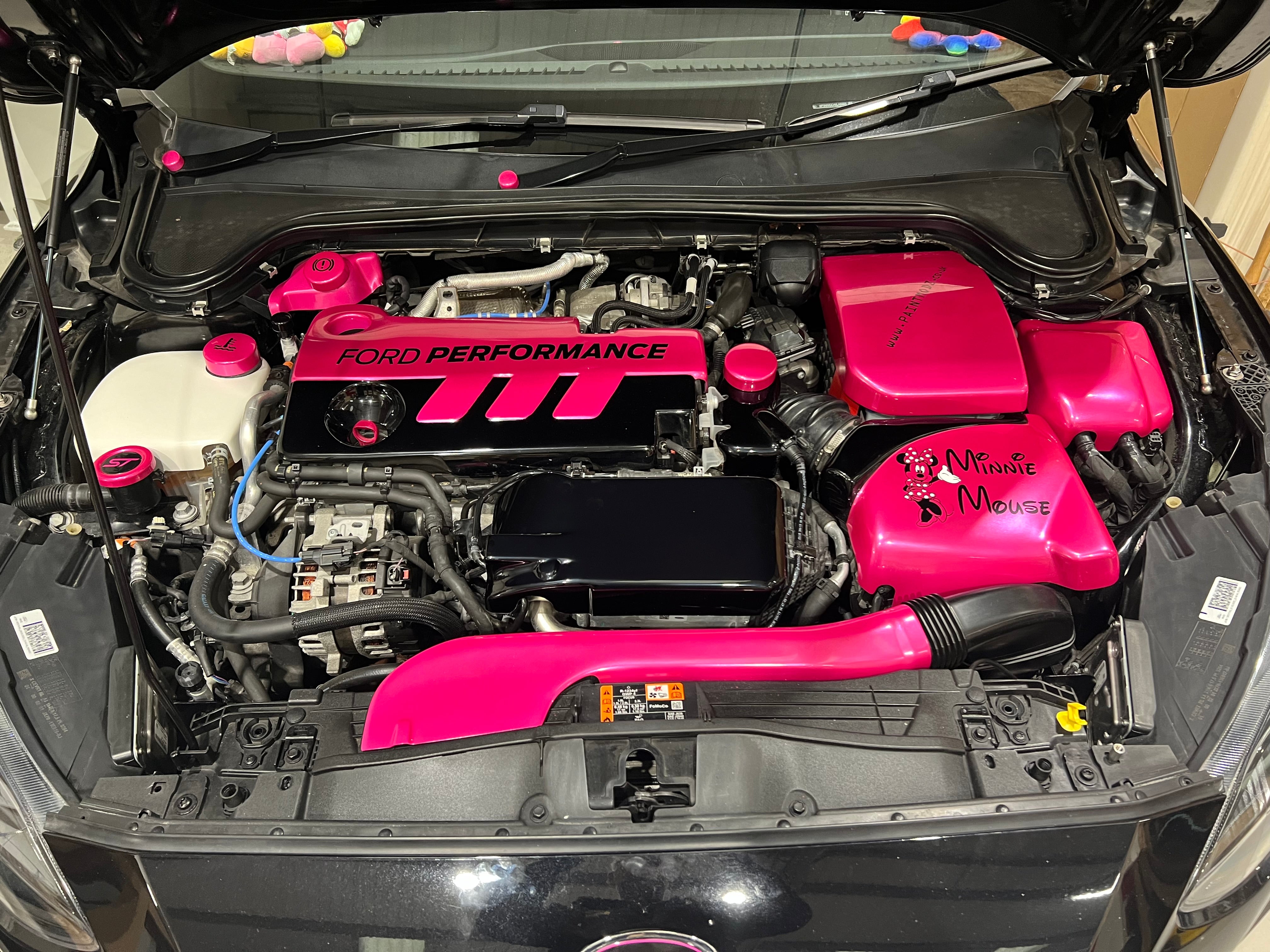 Proform Ladeluftkühlerabdeckung – Mk4 Ford Focus ST Diesel (Kunststoffoberflächen)