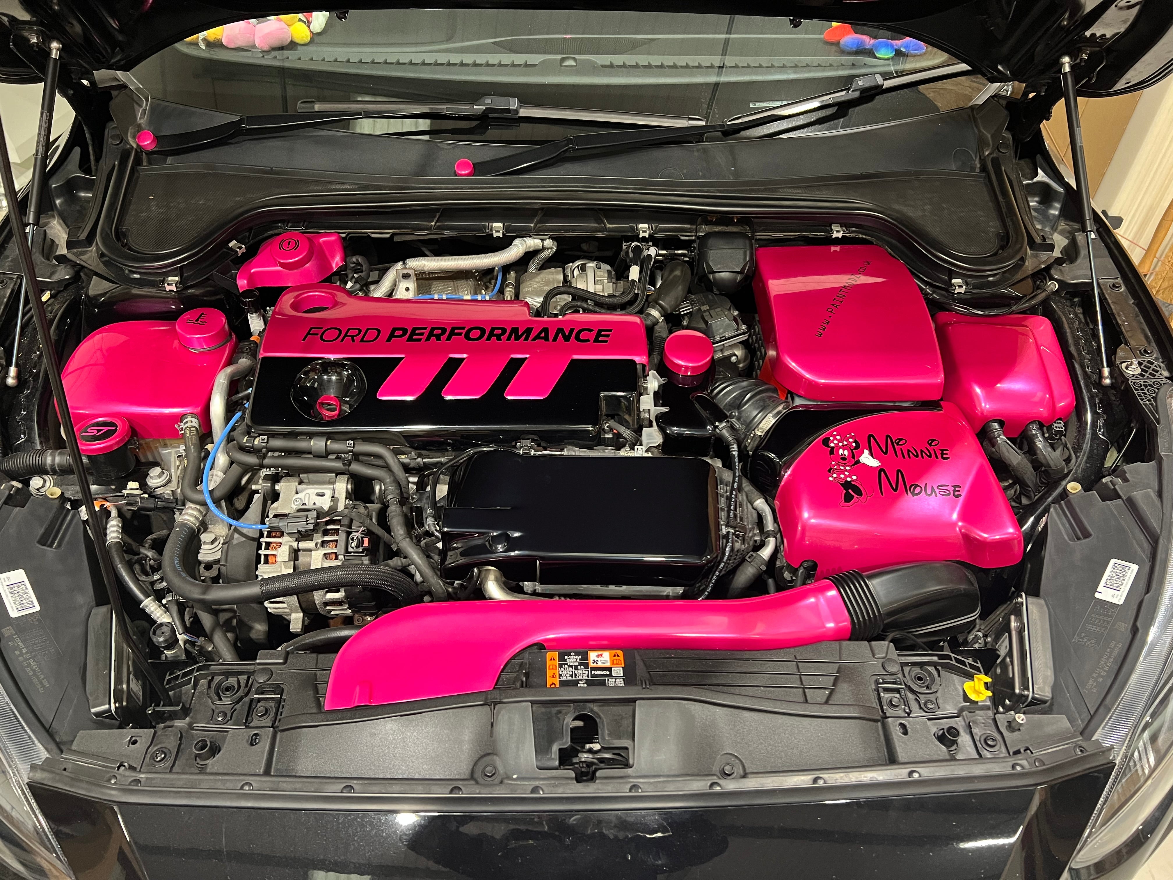 Proform Ladeluftkühlerabdeckung – Mk4 Ford Focus ST Diesel (Kunststoffoberflächen)