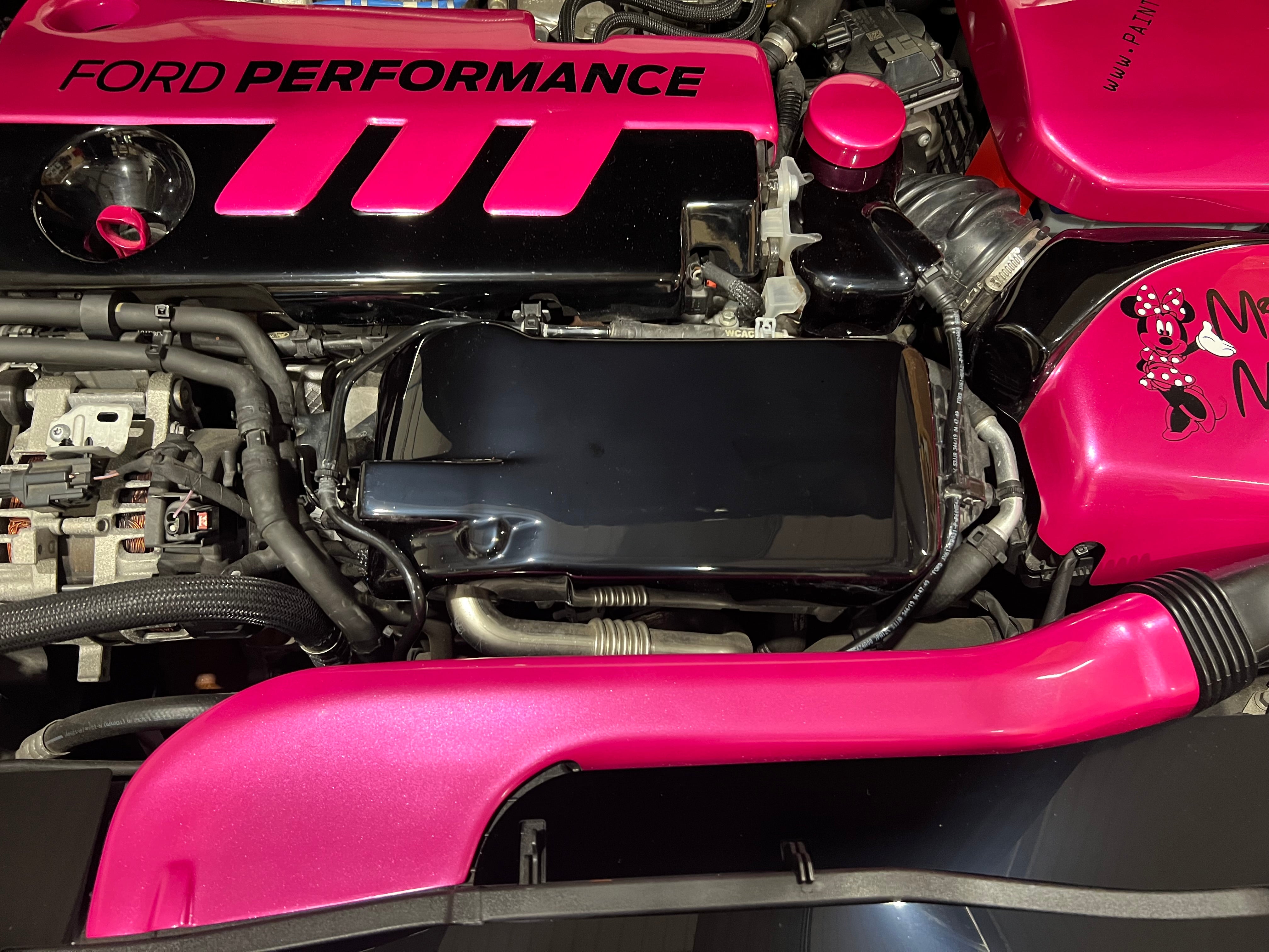 Proform Ladeluftkühlerabdeckung – Mk4 Ford Focus ST Diesel (Kunststoffoberflächen)