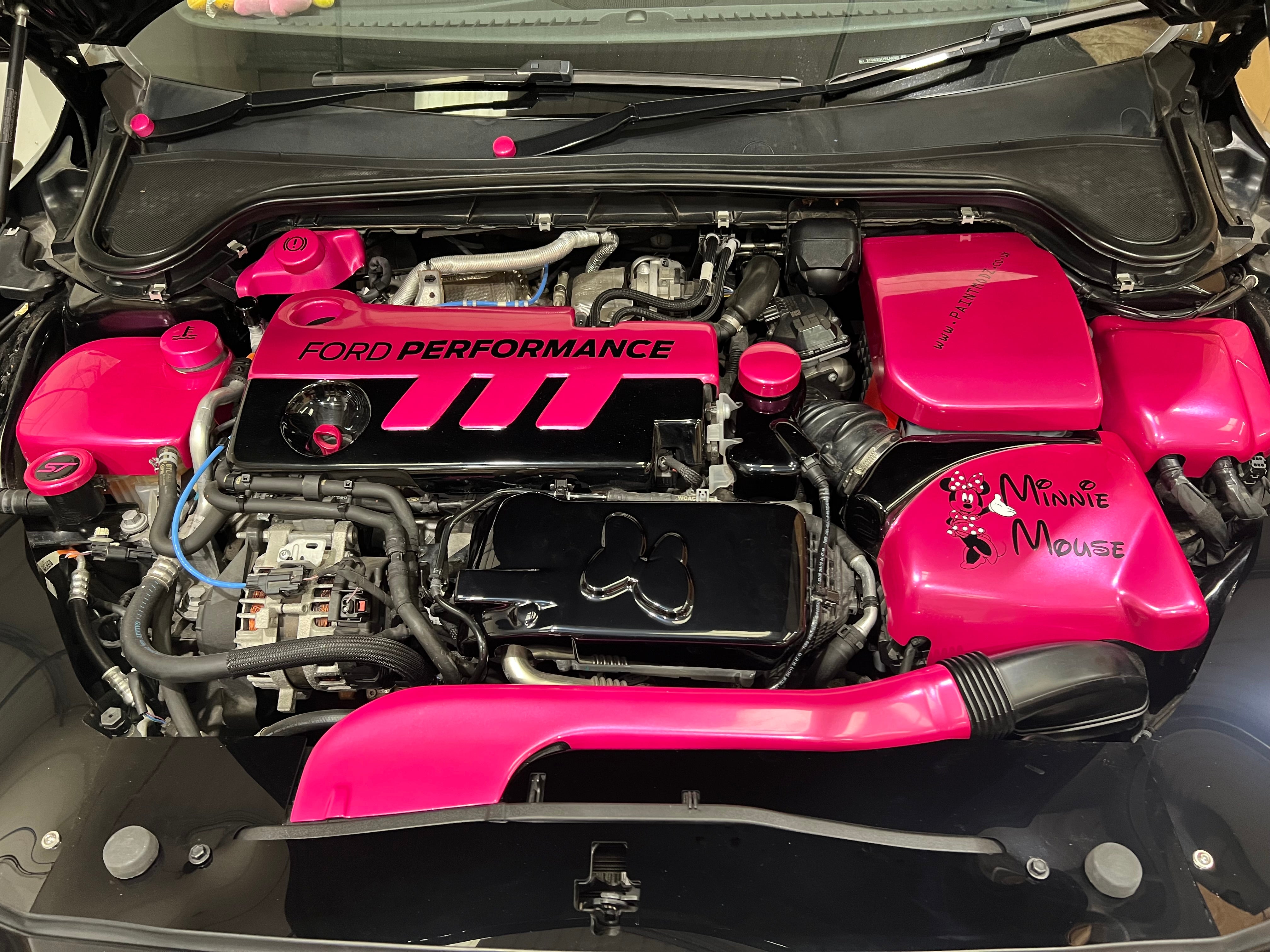 Proform Mk4 Focus Slam Panel-Abdeckung (Kunststoffoberflächen)