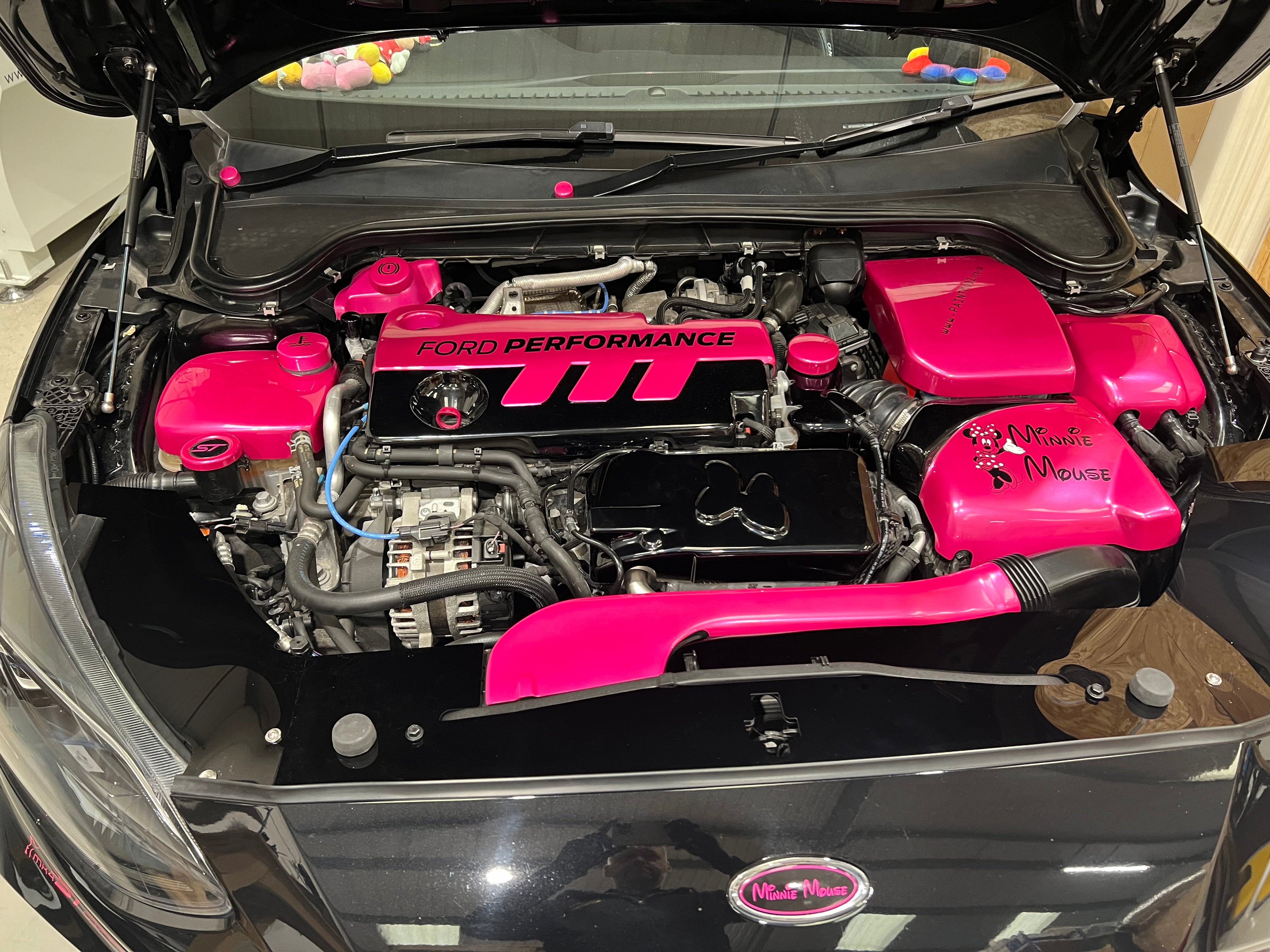 Proform Mk4 Focus Slam Panel-Abdeckung (Kunststoffoberflächen)