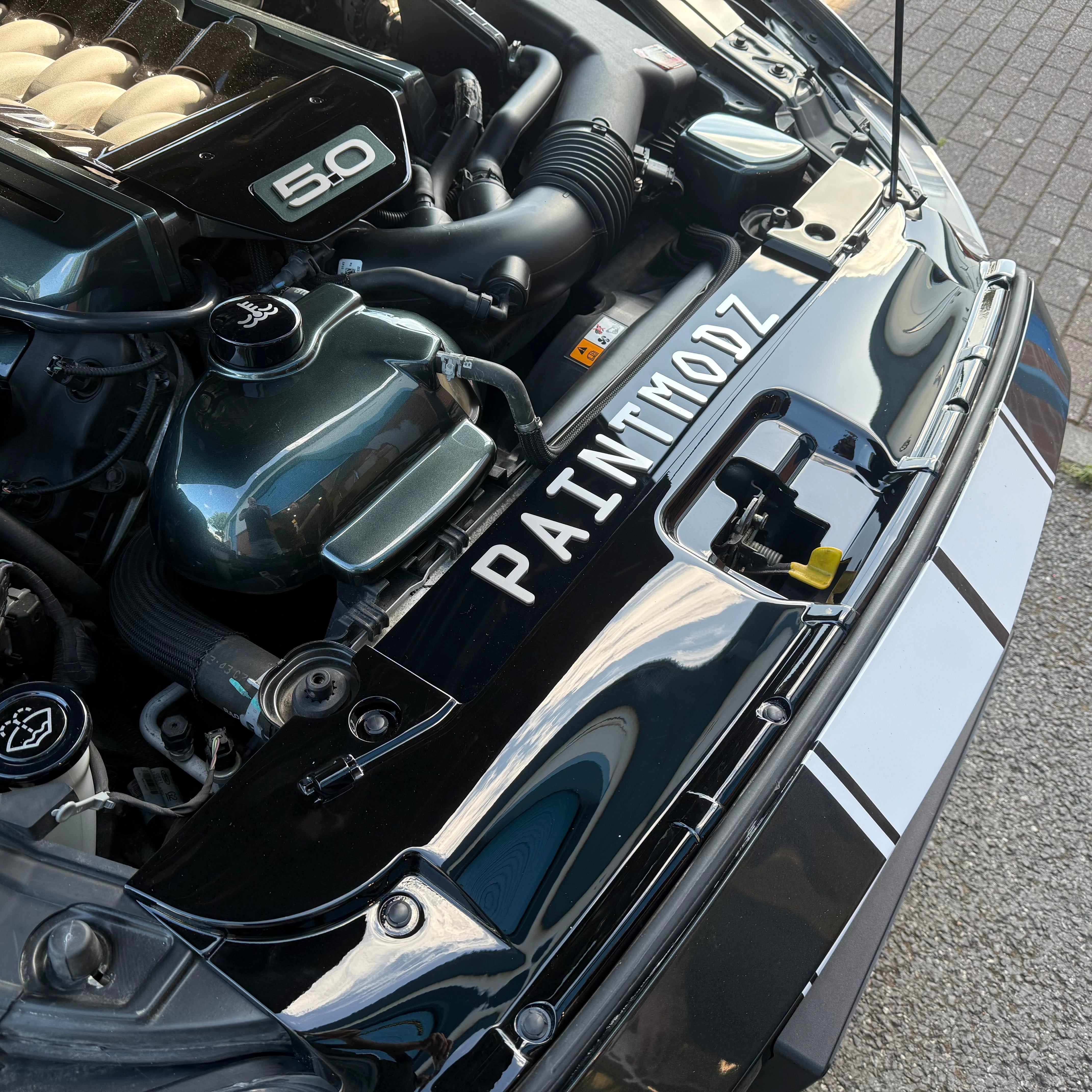 Genuine Ford Mustang (6th Generation) Slam Panel