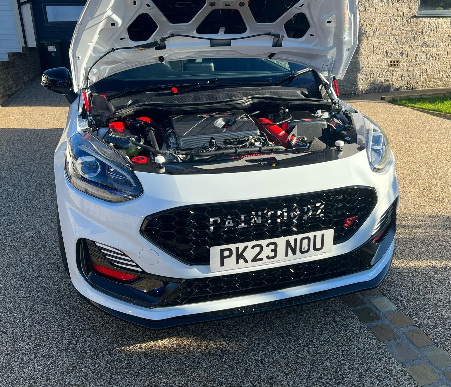 Car Bonnet Gas Strut Painting Service
