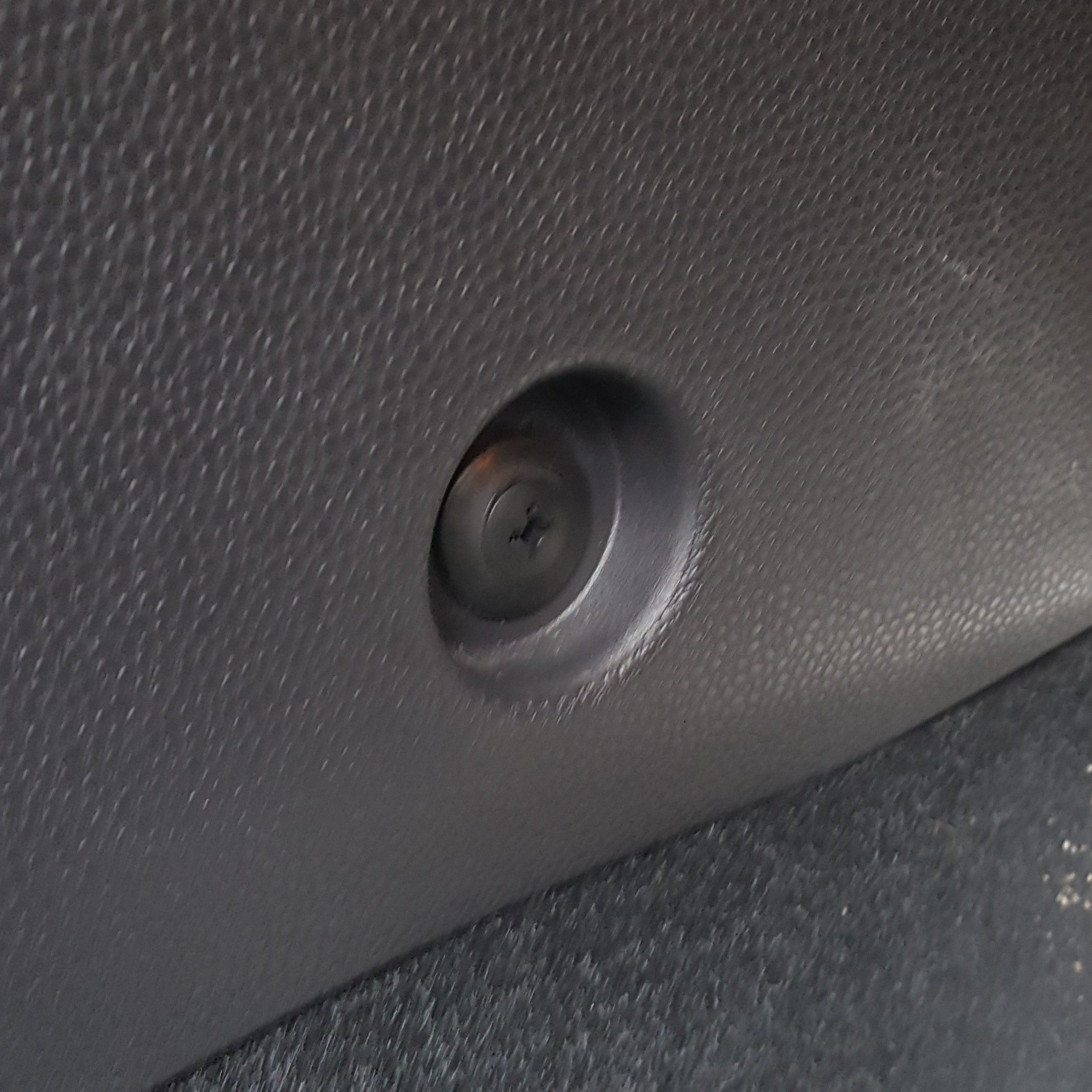 Ford Plastic Push Rivets