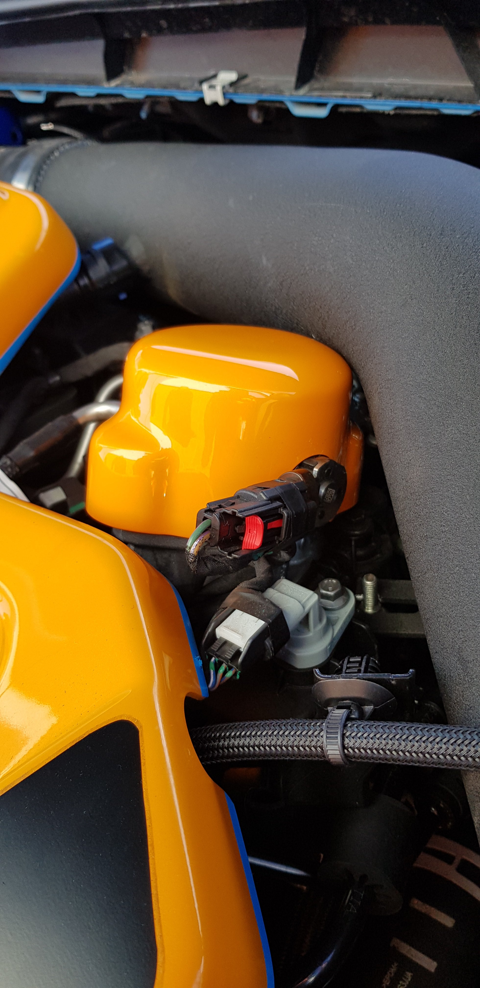 Proform-Kraftstoffpumpenabdeckung – Mk4/4.5 Ford Focus ST Benzin (Lackierte Ausführungen)
