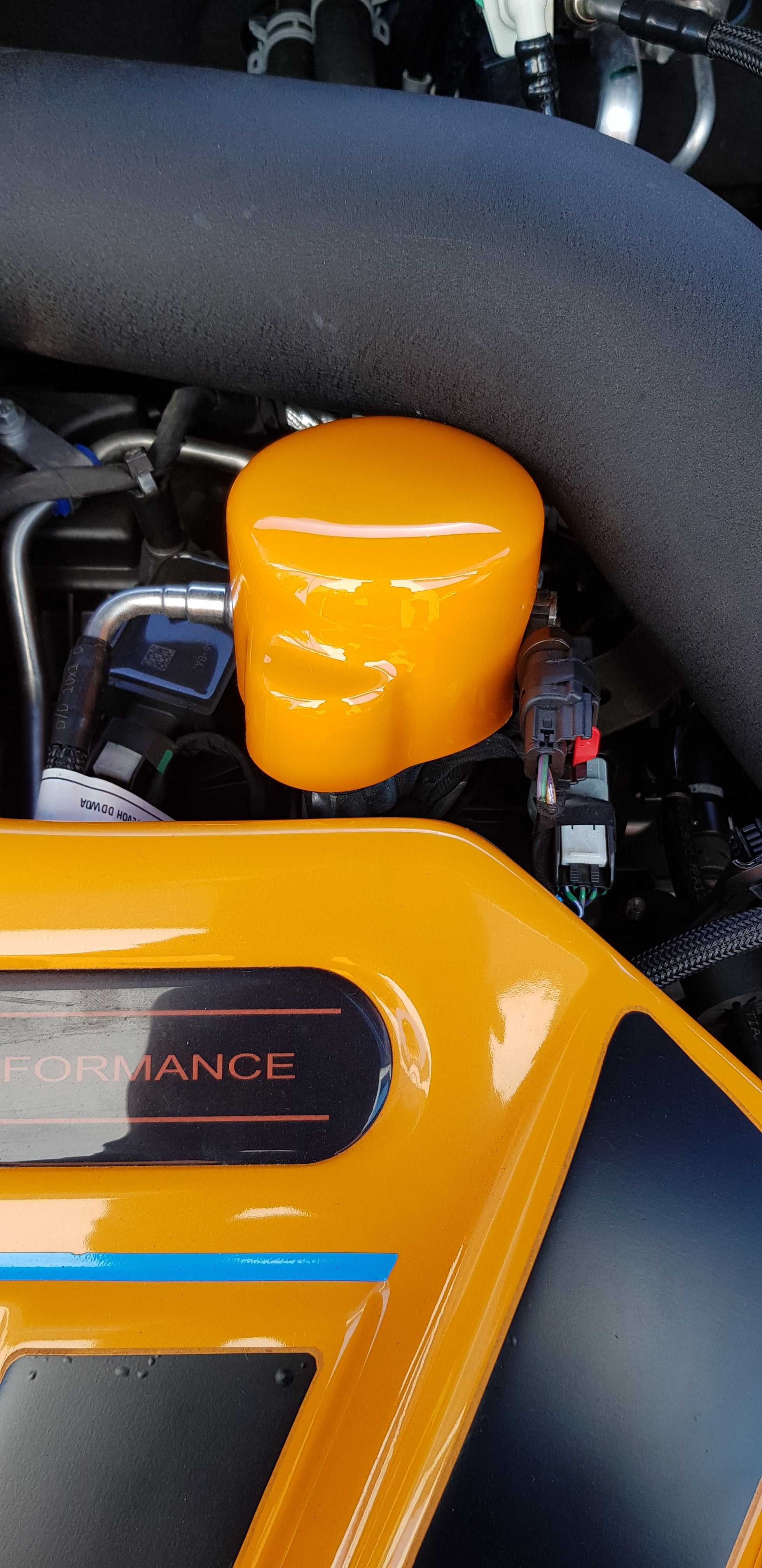 Proform-Kraftstoffpumpenabdeckung – Mk4/4.5 Ford Focus ST Benzin (Lackierte Ausführungen)