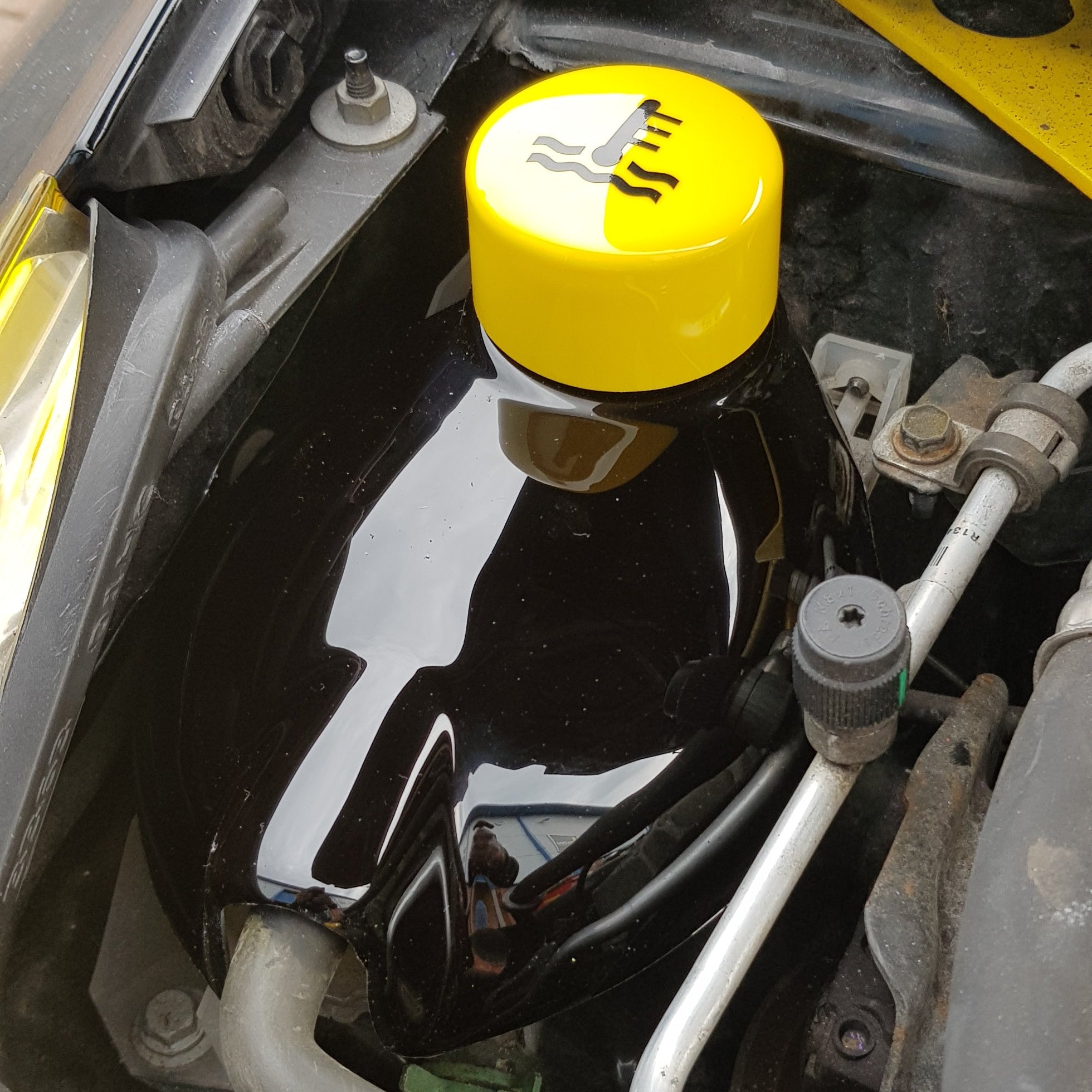 Proform Coolant Tank Cover - Mk4 Renault Clio RS (Plastic Finishes)