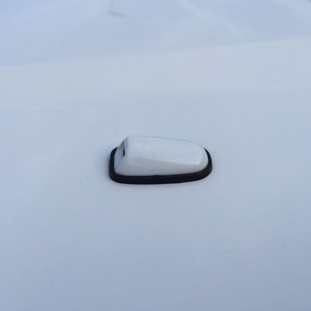 Genuine Ford Heated 'Mist' Washer Jets Painted