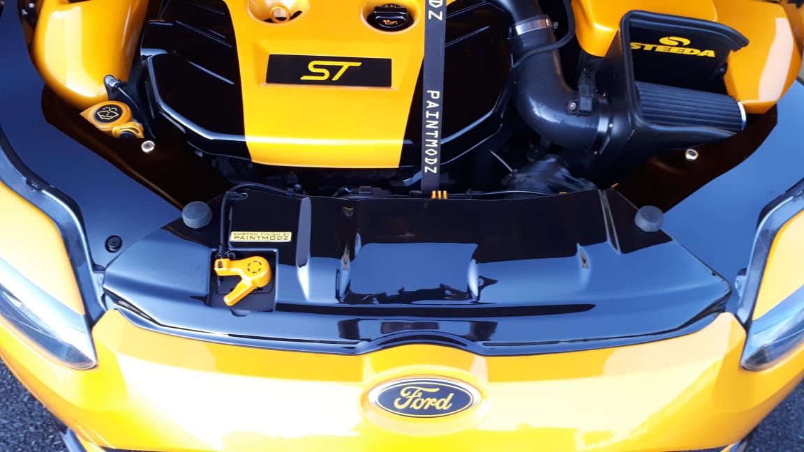 Proform Mk3 (Pre-Facelift) Focus ST Slam Panel Cover (Kunststoffoberflächen)