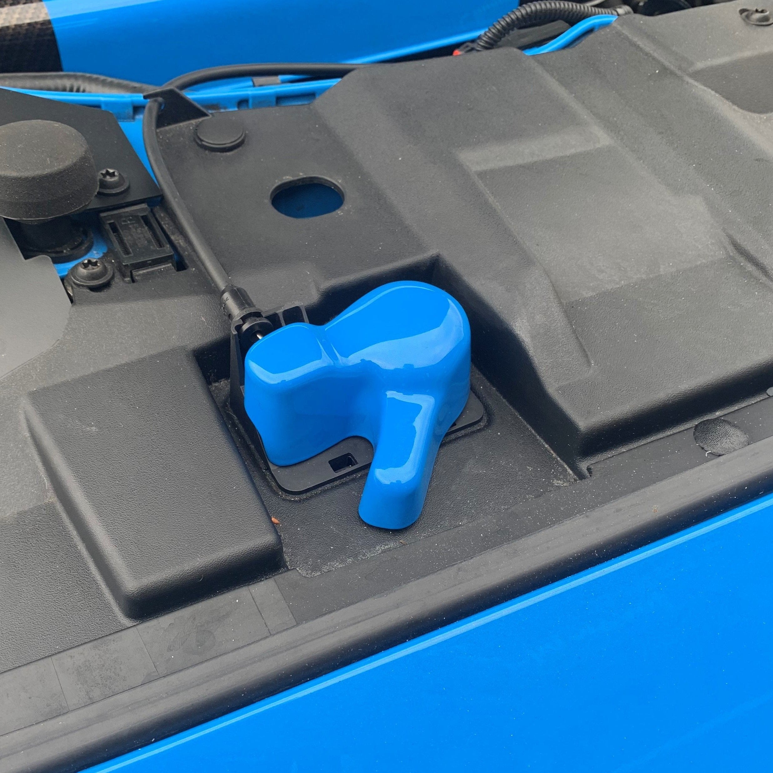 Proform Bonnet Catch Cover - Mk3/3.5 Focus (Painted Finishes)