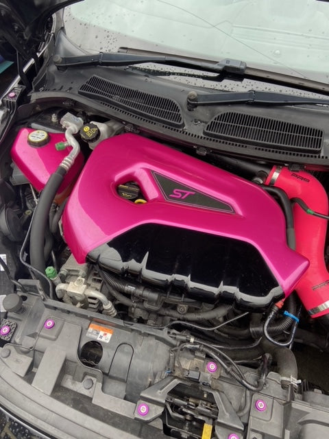 Proform Small Engine Bay Dress Up Kit Bundle – (Lackierte Oberflächen) – Fiesta Mk7.5 ST180 / ST200