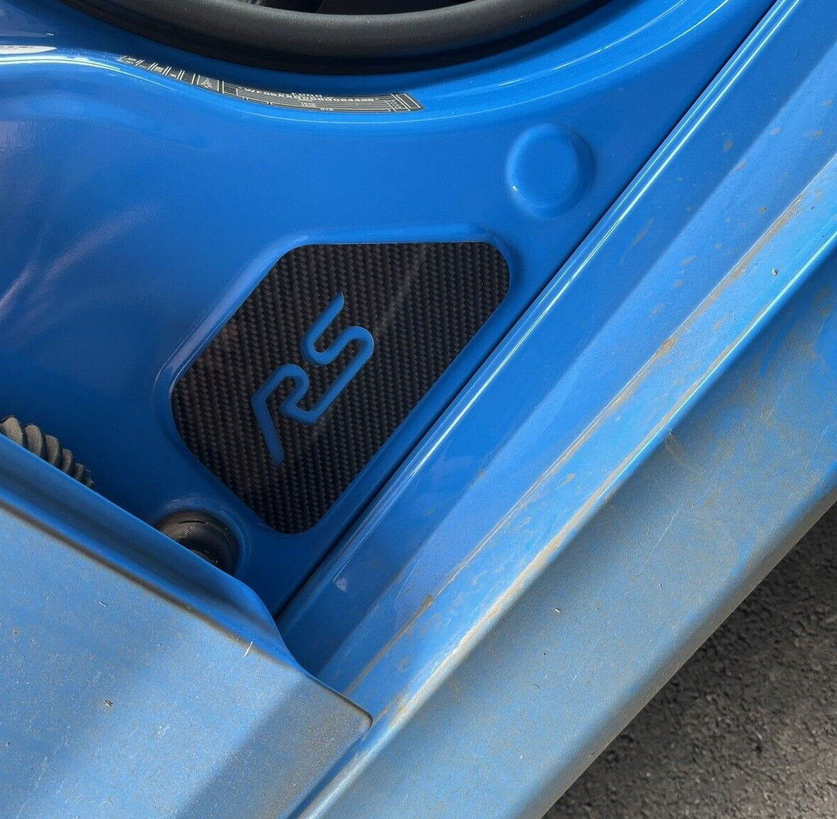 Carbon fibre effect RS / ST Door Sill Plates