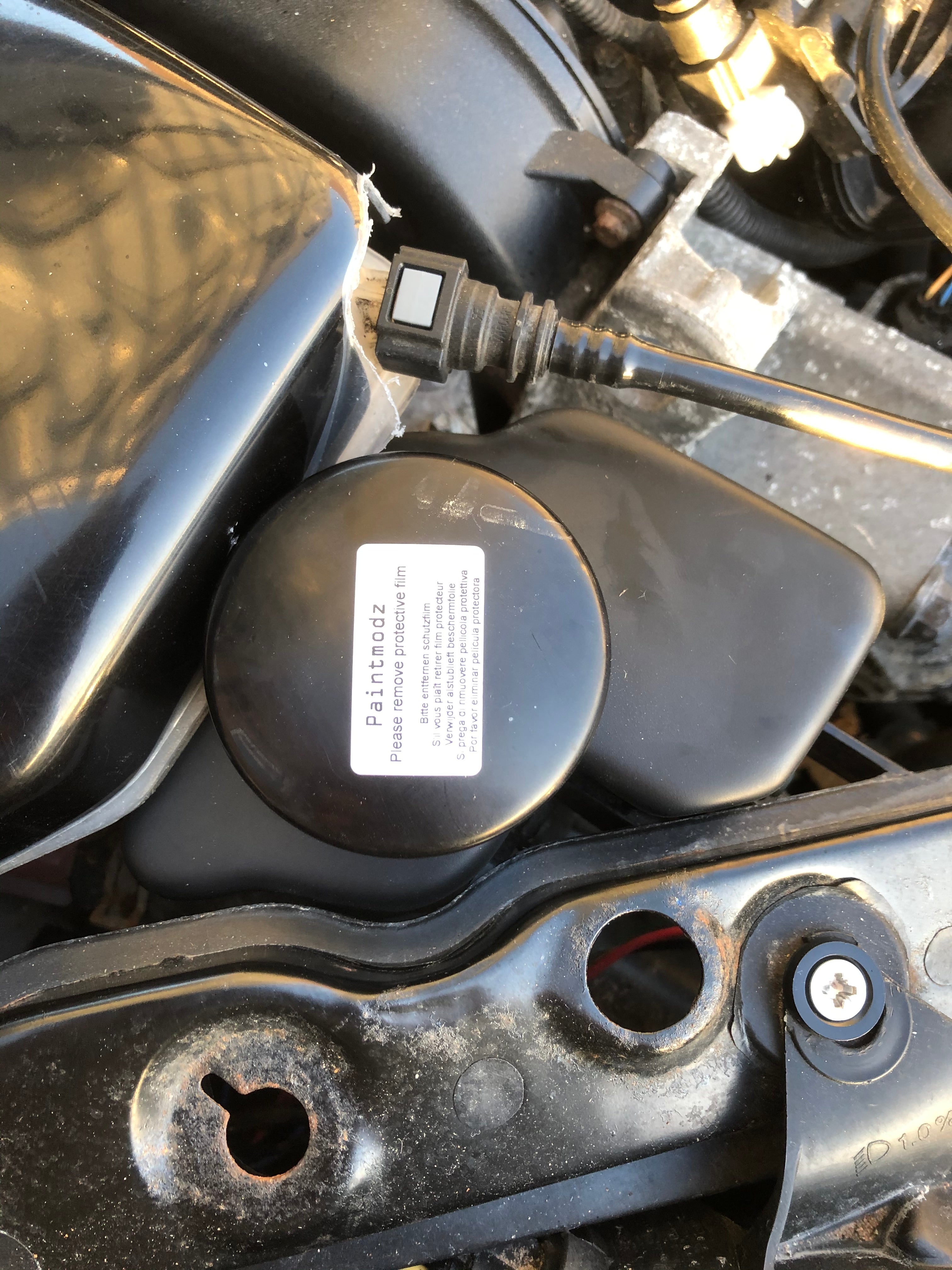 Proform Servolenkungsbehälter-Abdeckung – Mk6 Ford Fiesta (Kunststoffoberflächen)
