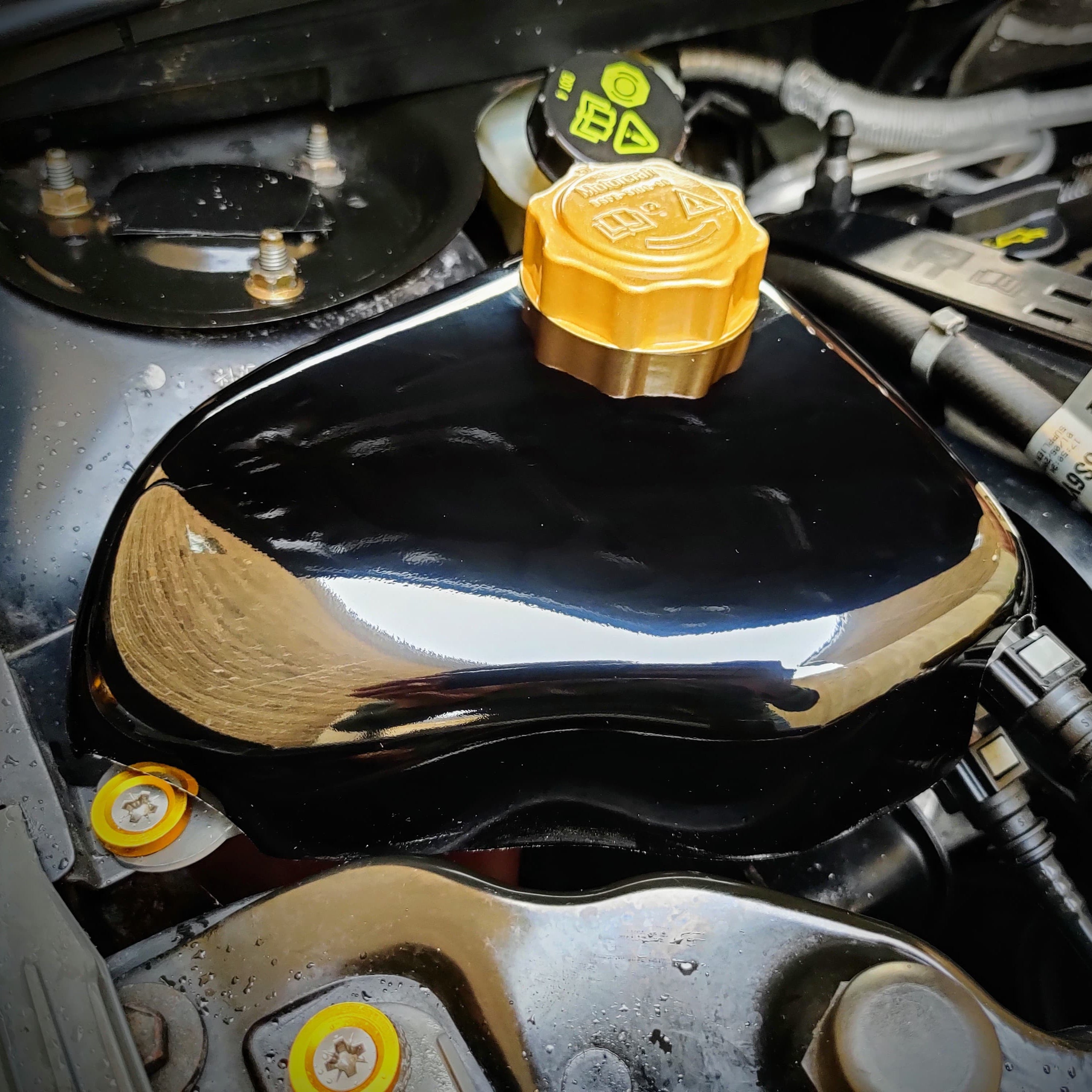 Proform Coolant Tank Cover - Mk6 Ford Fiesta (Plastic Finishes)
