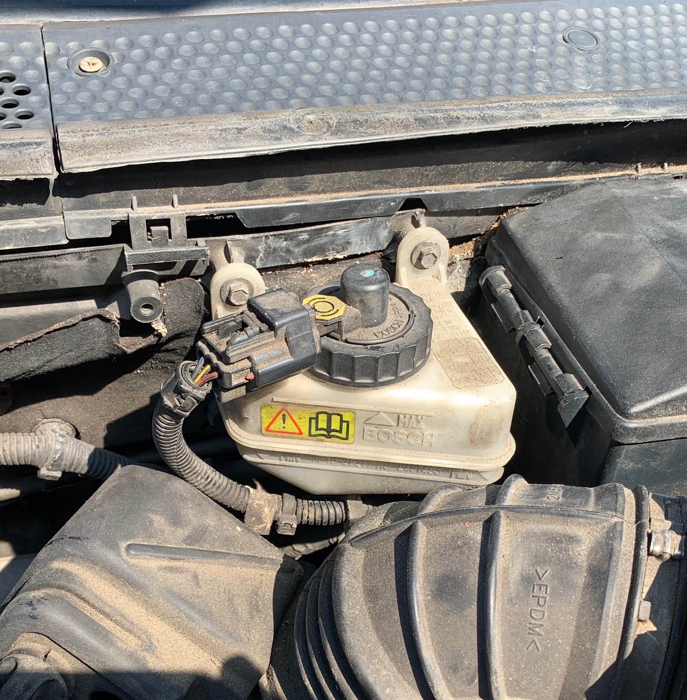 Proform Bremsflüssigkeitsbehälterdeckel (verschiedene Farben) - Ford Focus Mk1