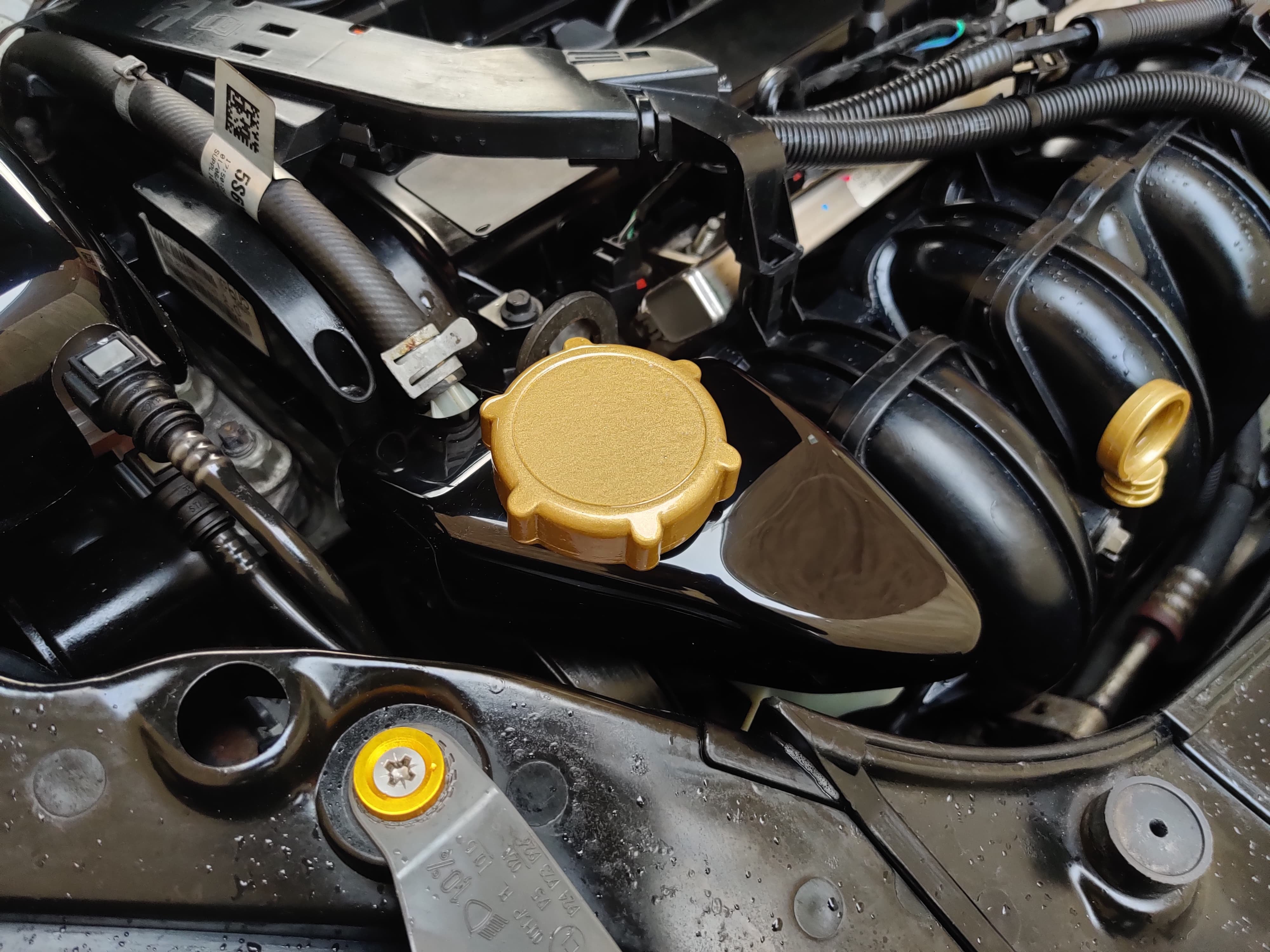 Proform Power Steering Reservoir Cover - Mk6 Ford Fiesta (Plastic Finishes)