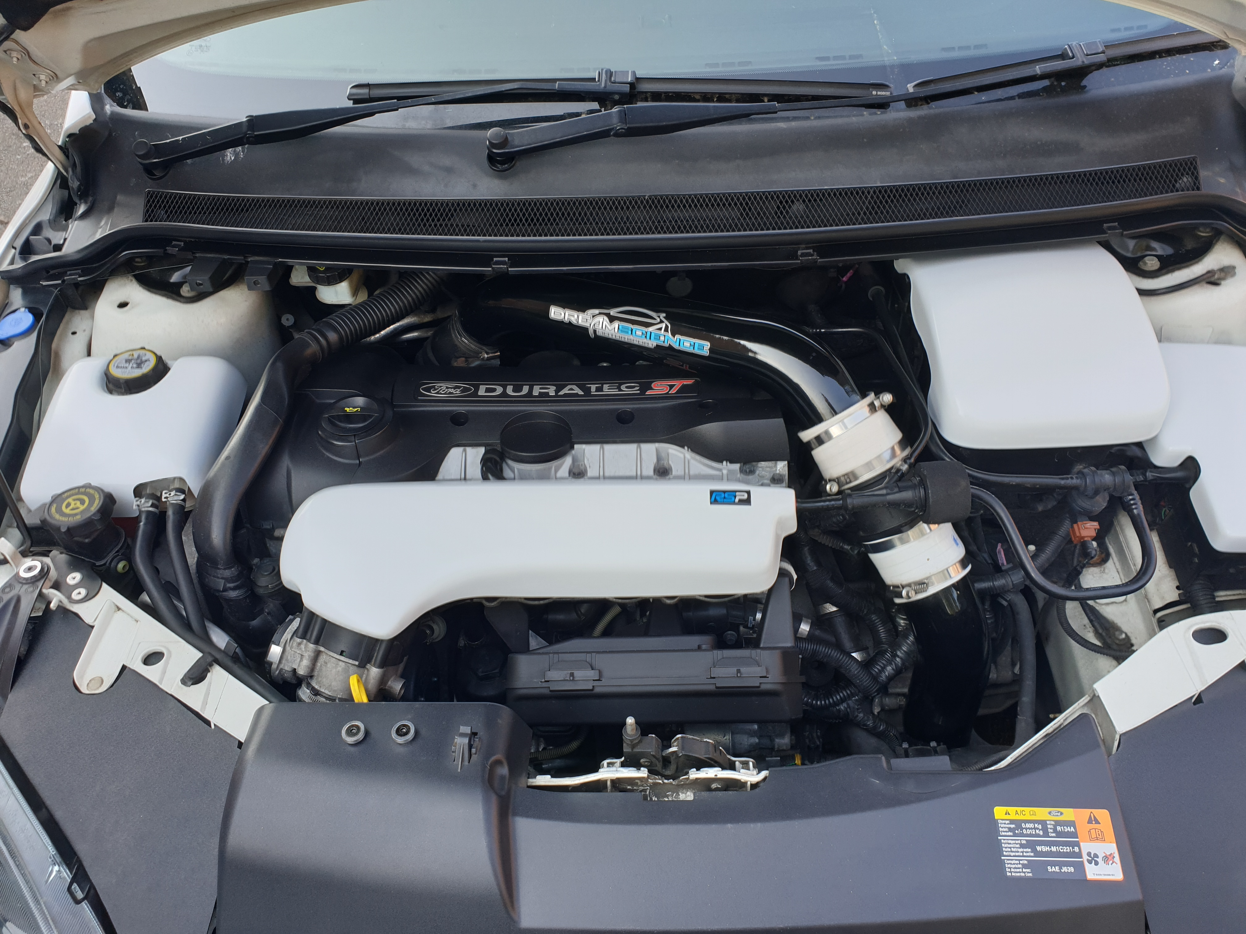 Proform Motorraum-Verkleidungssatz – Mk2/2.5 Focus (lackierte Ausführungen)
