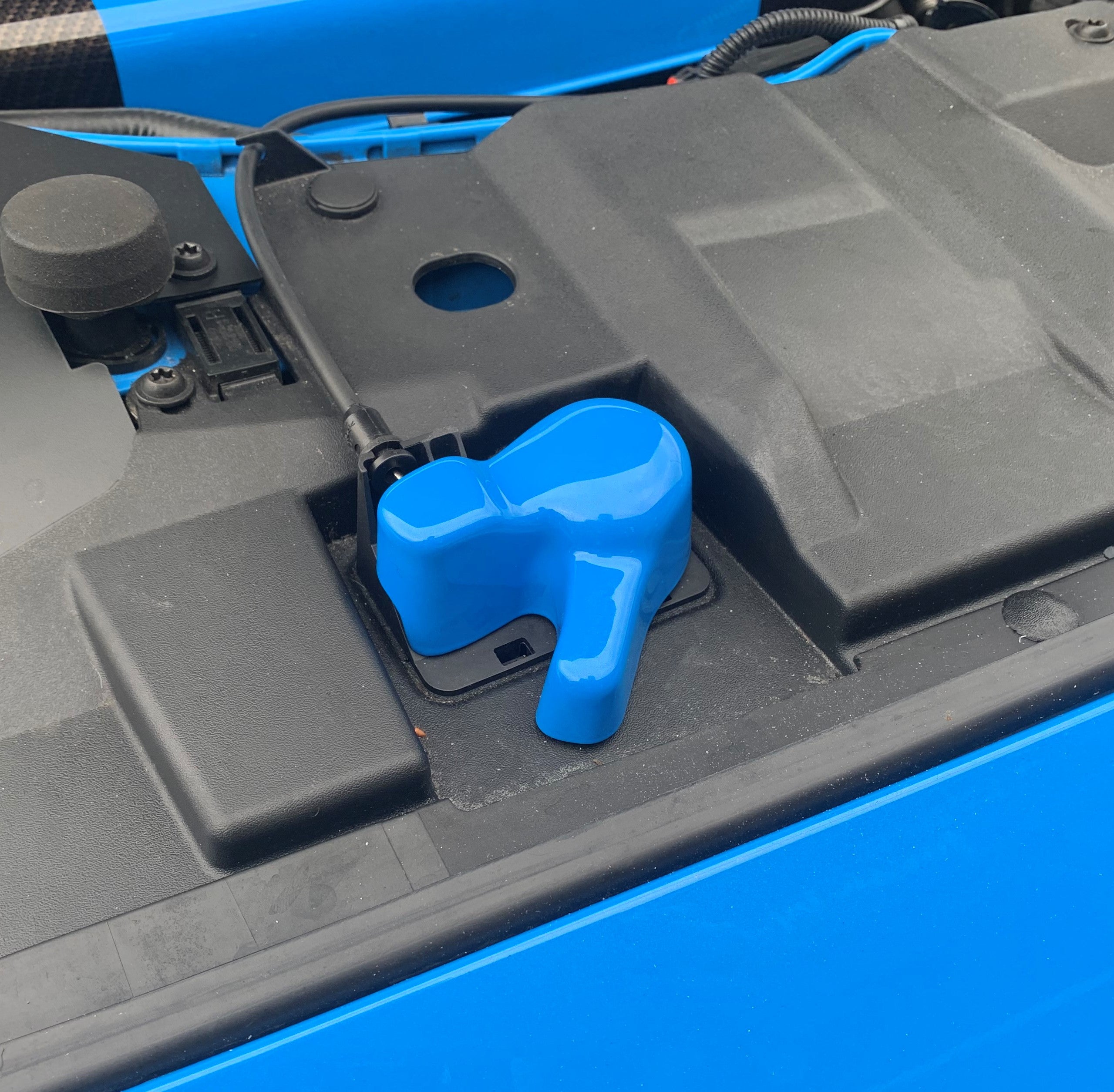 Focus Bonnet Catch Cover Nitrous Blue