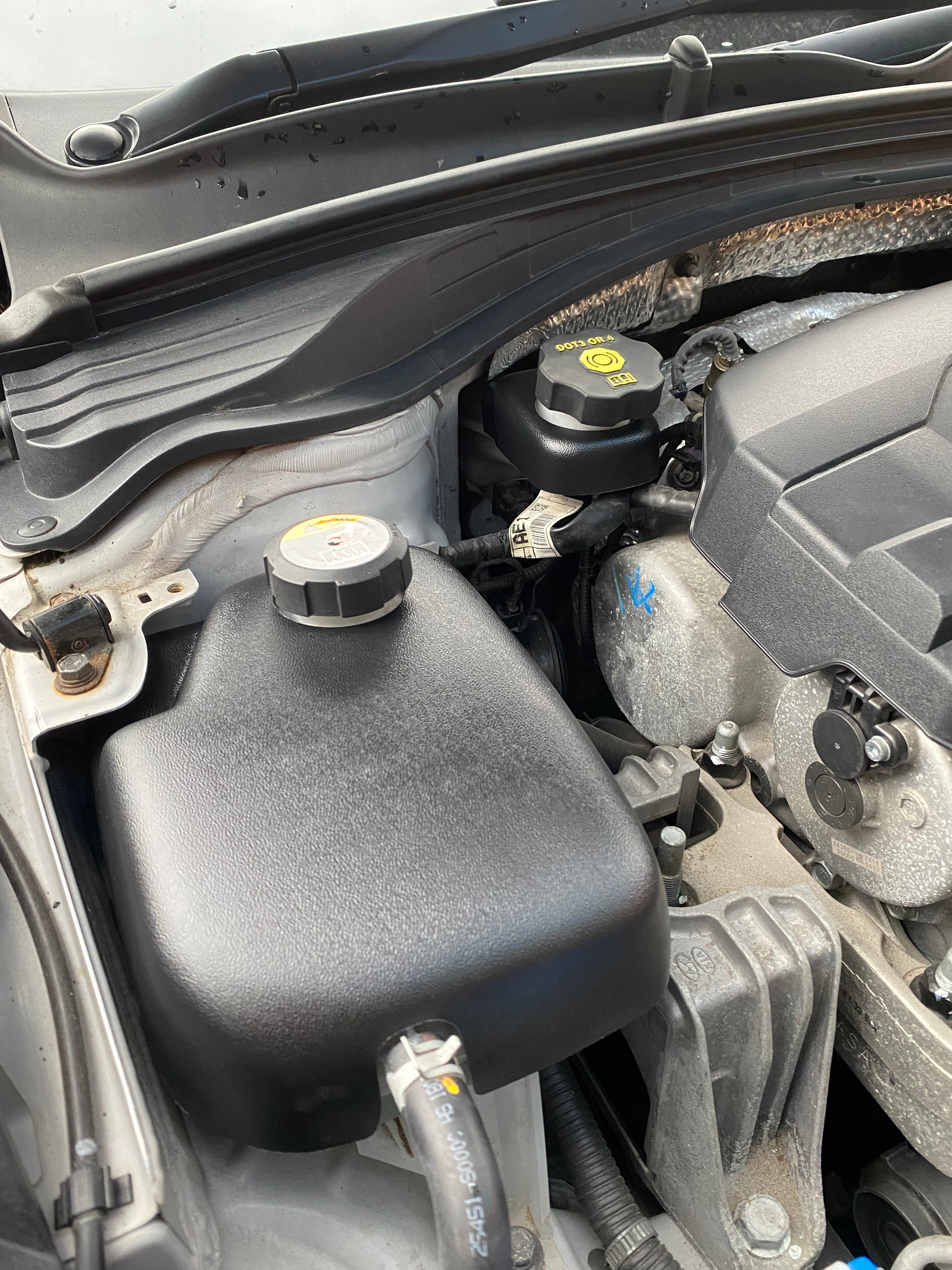 Proform Brake Reservoir Cover (RHD) - Hyundai i30 / Kona N (Plastic Finishes)