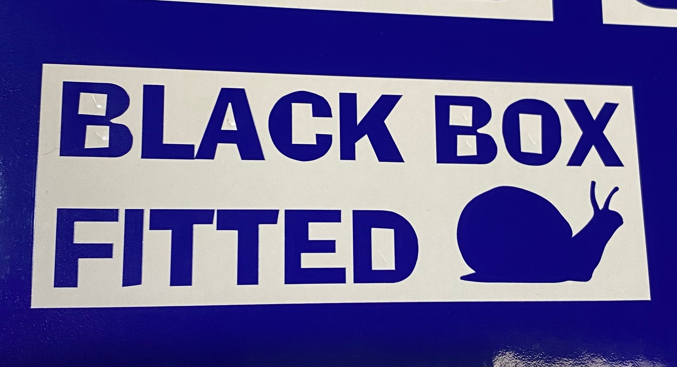 Black Box Fitted Vinyl Sticker